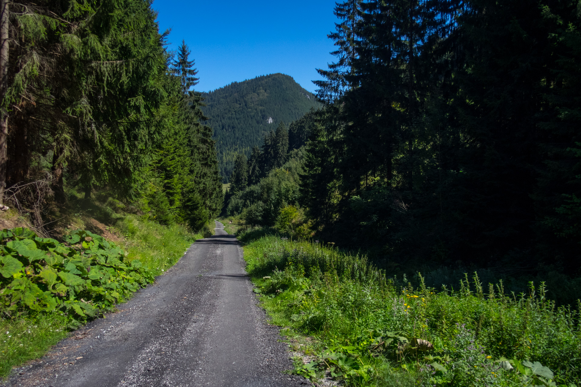 Z vojenskej zotavovne Smrekovica cez Nižné Šiprúnske sedlo do Bieleho potoka (Veľká Fatra)