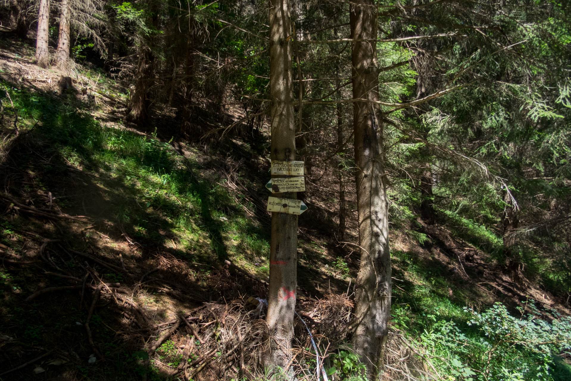 Z vojenskej zotavovne Smrekovica cez Nižné Šiprúnske sedlo do Bieleho potoka (Veľká Fatra)