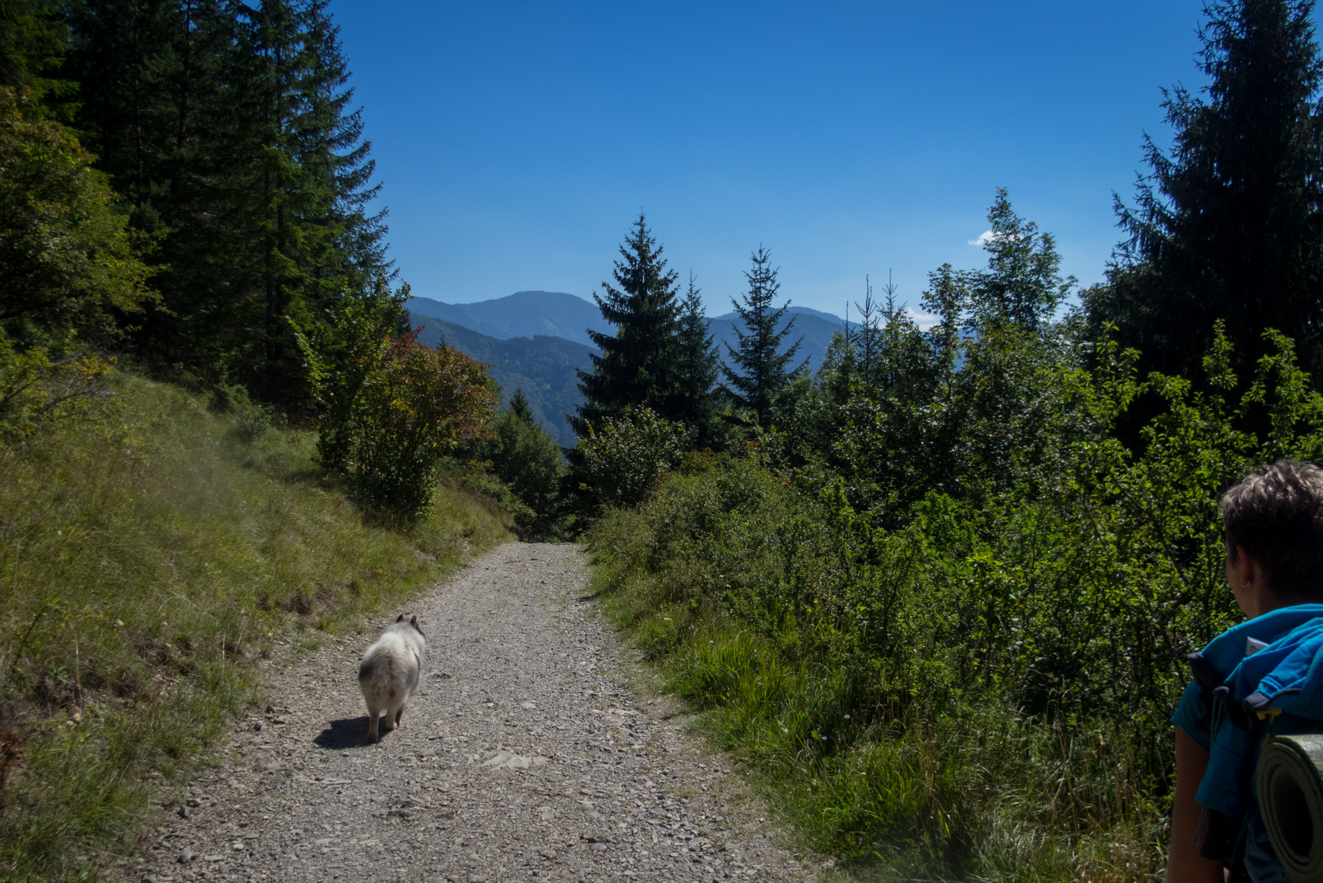 Z vojenskej zotavovne Smrekovica cez Nižné Šiprúnske sedlo do Bieleho potoka (Veľká Fatra)