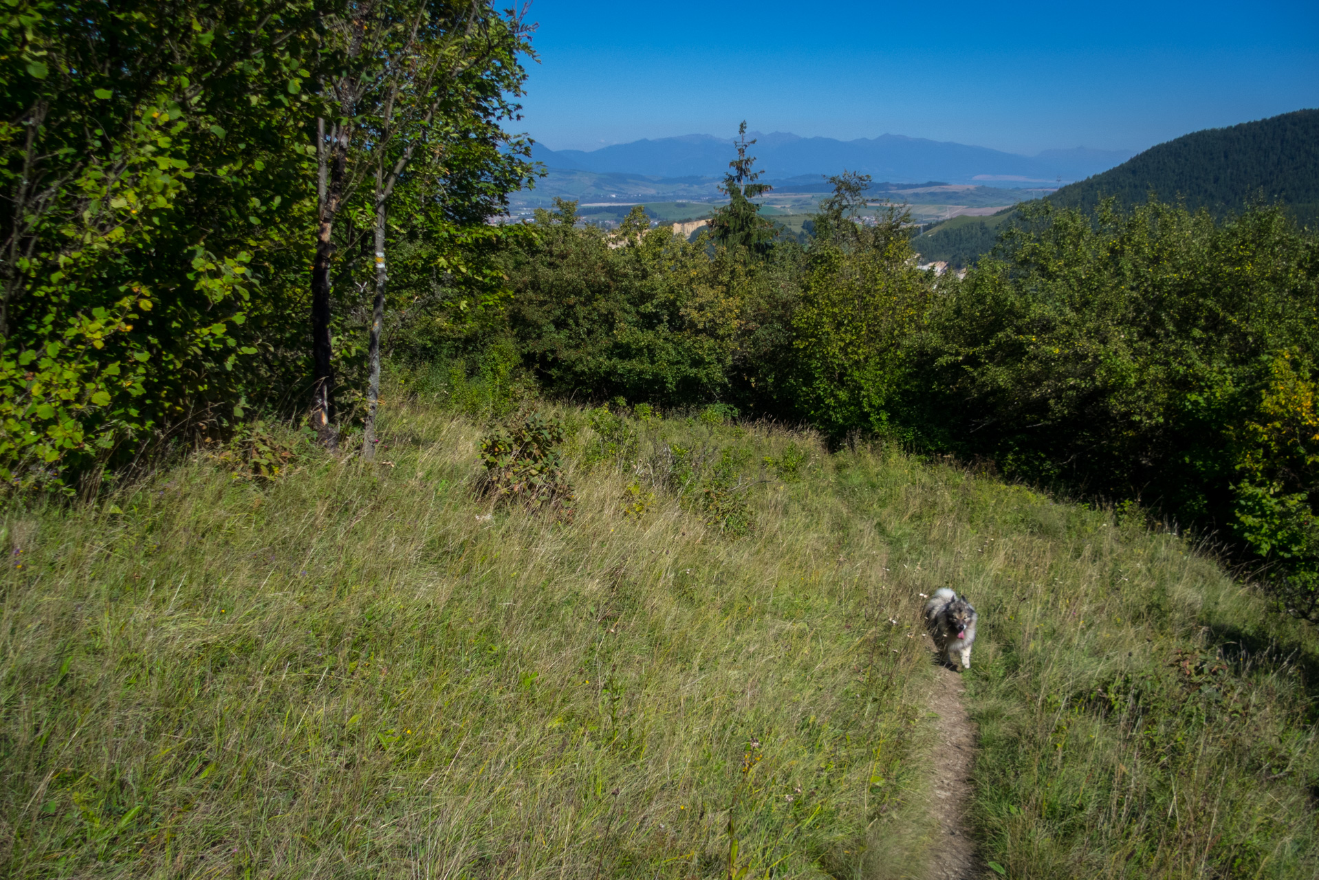 Z vojenskej zotavovne Smrekovica cez Nižné Šiprúnske sedlo do Bieleho potoka (Veľká Fatra)