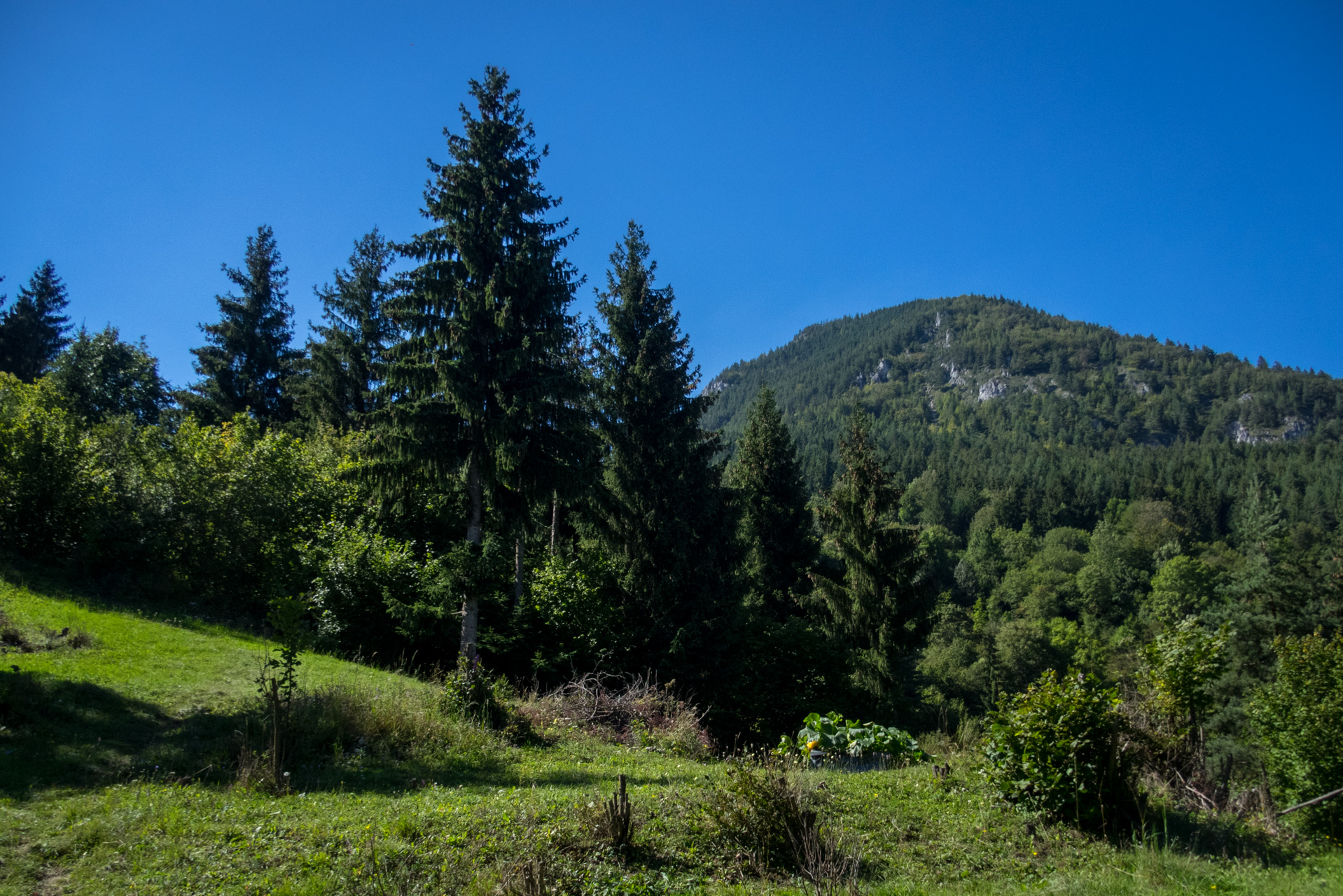 Z vojenskej zotavovne Smrekovica cez Nižné Šiprúnske sedlo do Bieleho potoka (Veľká Fatra)