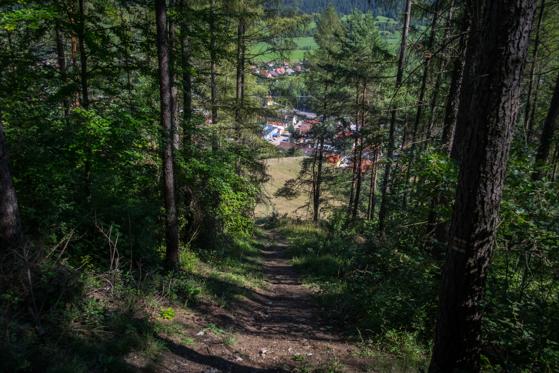 Z vojenskej zotavovne Smrekovica cez Nižné Šiprúnske sedlo do Bieleho potoka (Veľká Fatra)