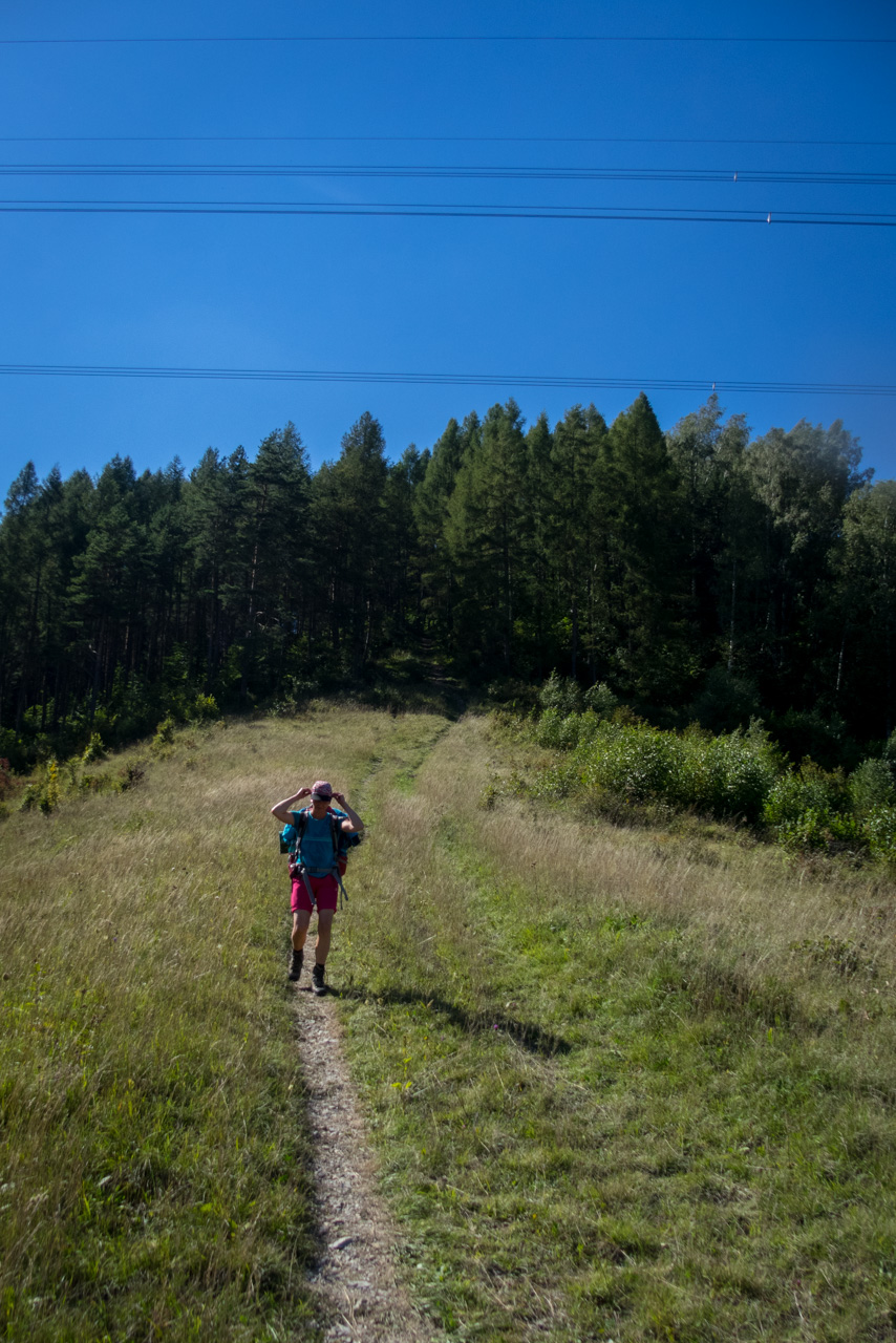 Z vojenskej zotavovne Smrekovica cez Nižné Šiprúnske sedlo do Bieleho potoka (Veľká Fatra)