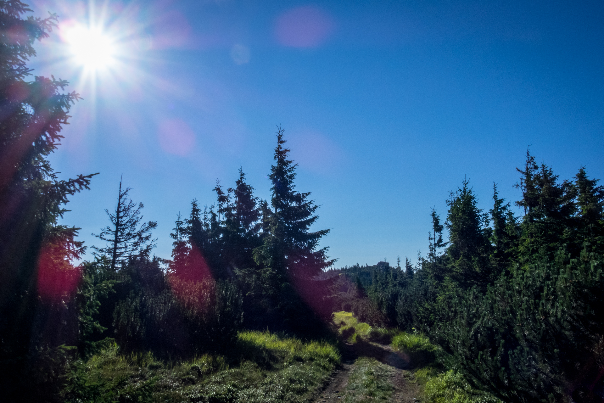 Zo Skaliska do Henclovej (Volovské vrchy)