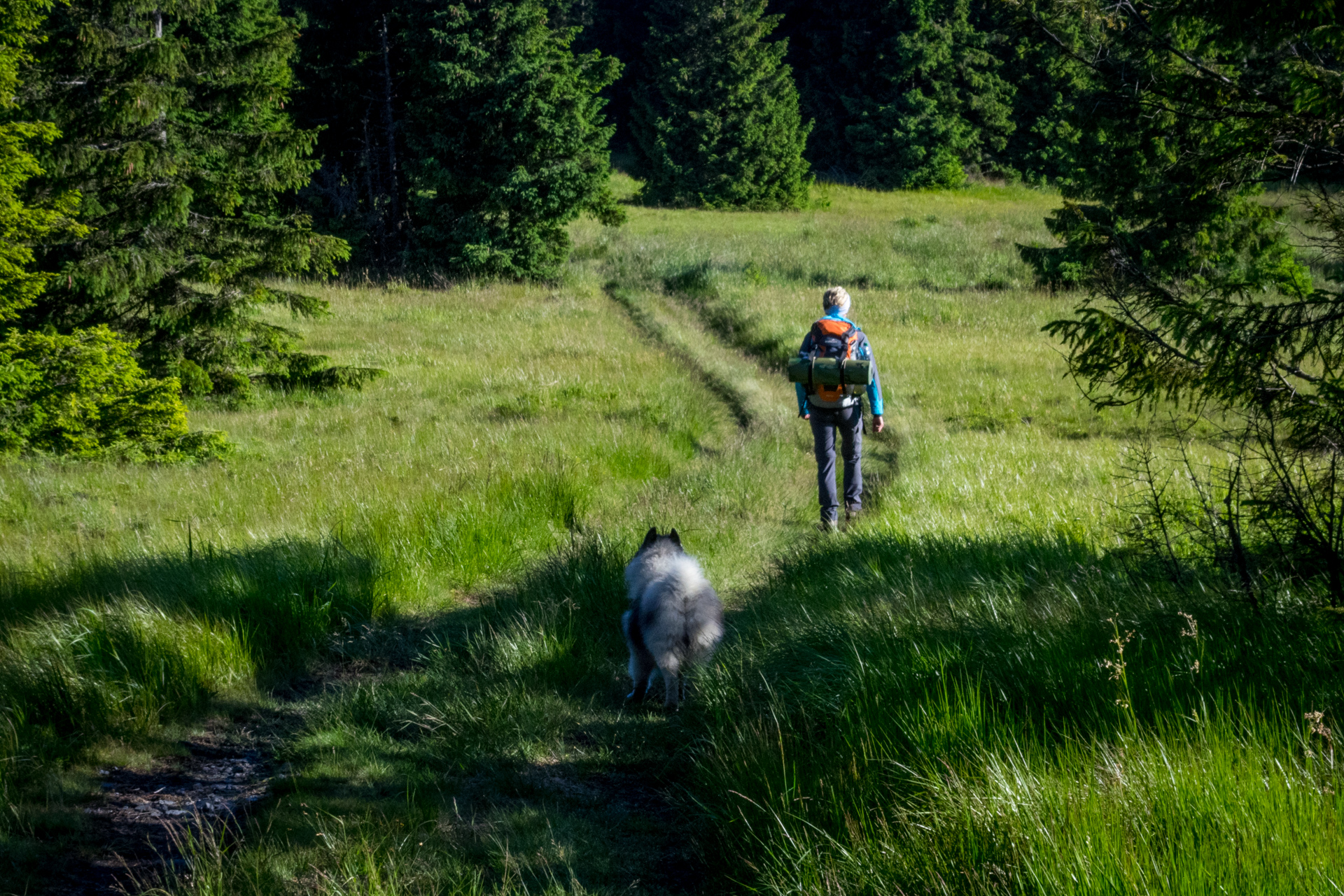 Zo Skaliska do Henclovej (Volovské vrchy)