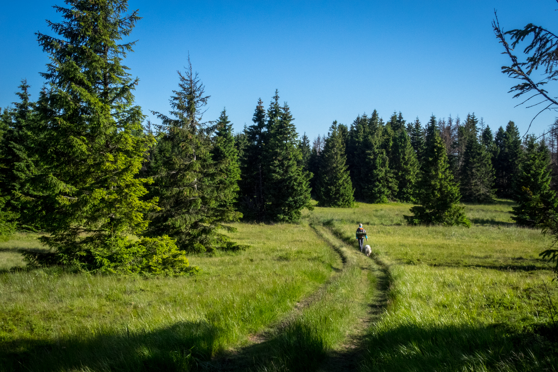 Zo Skaliska do Henclovej (Volovské vrchy)