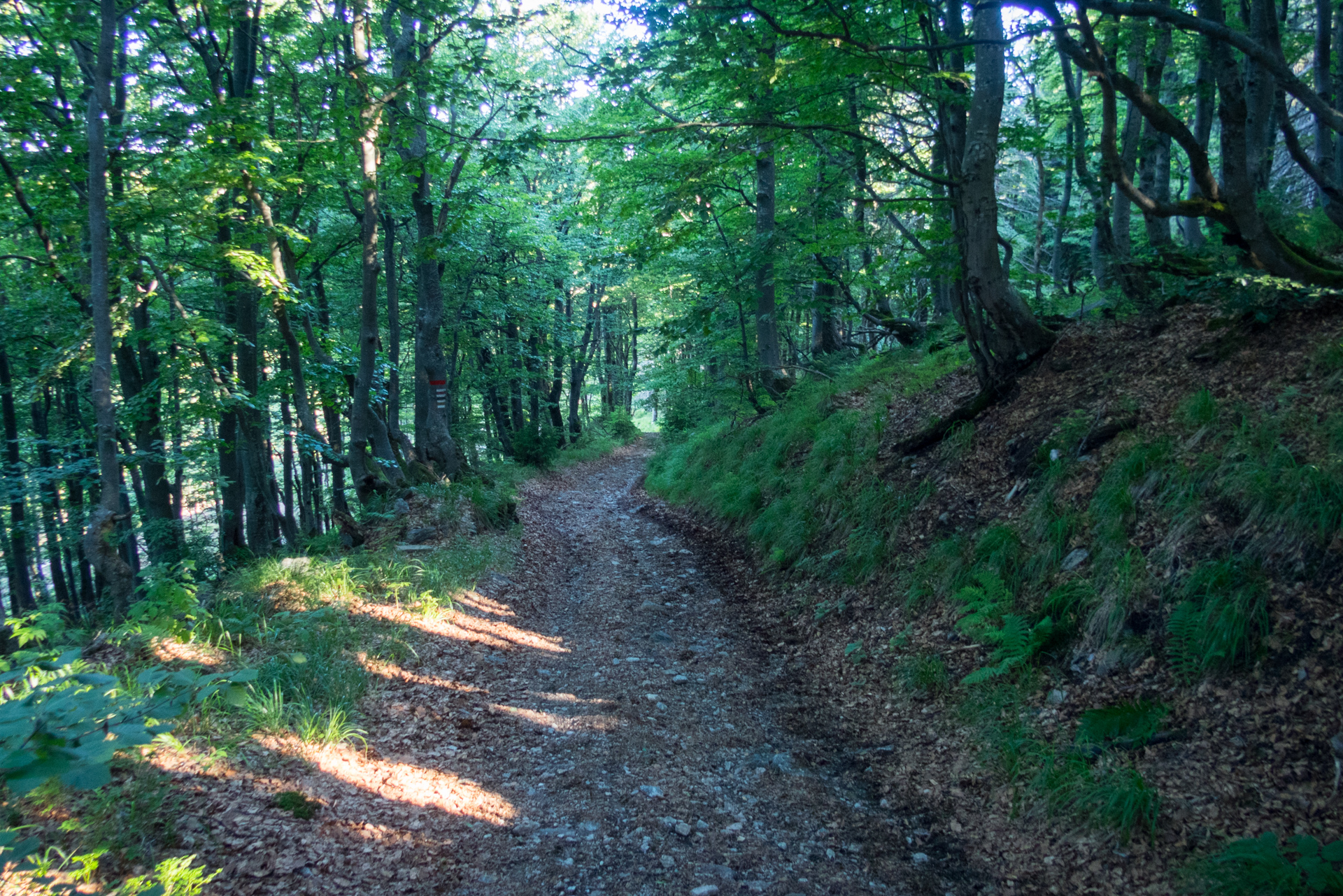 Zo Skaliska do Henclovej (Volovské vrchy)