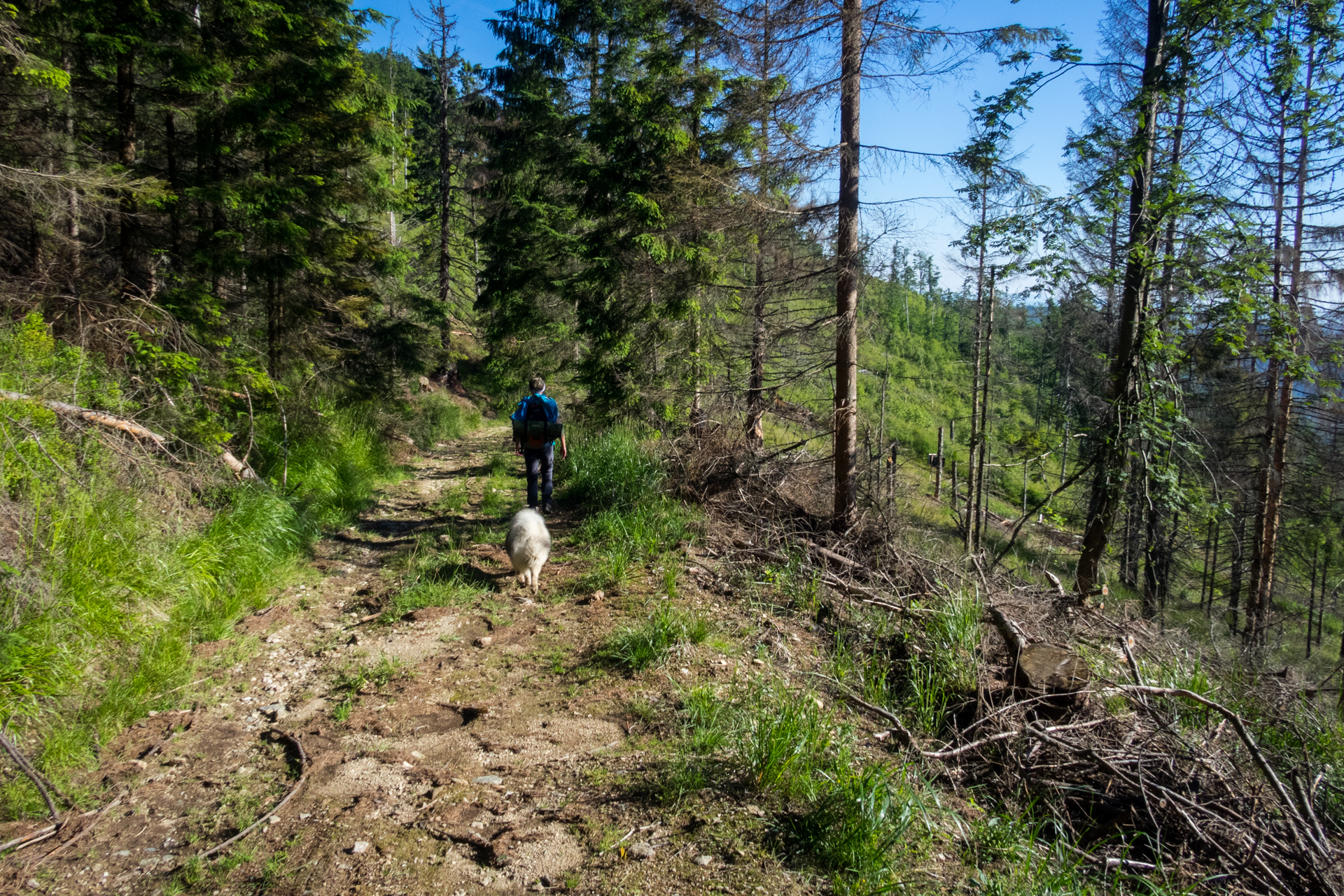 Zo Skaliska do Henclovej (Volovské vrchy)