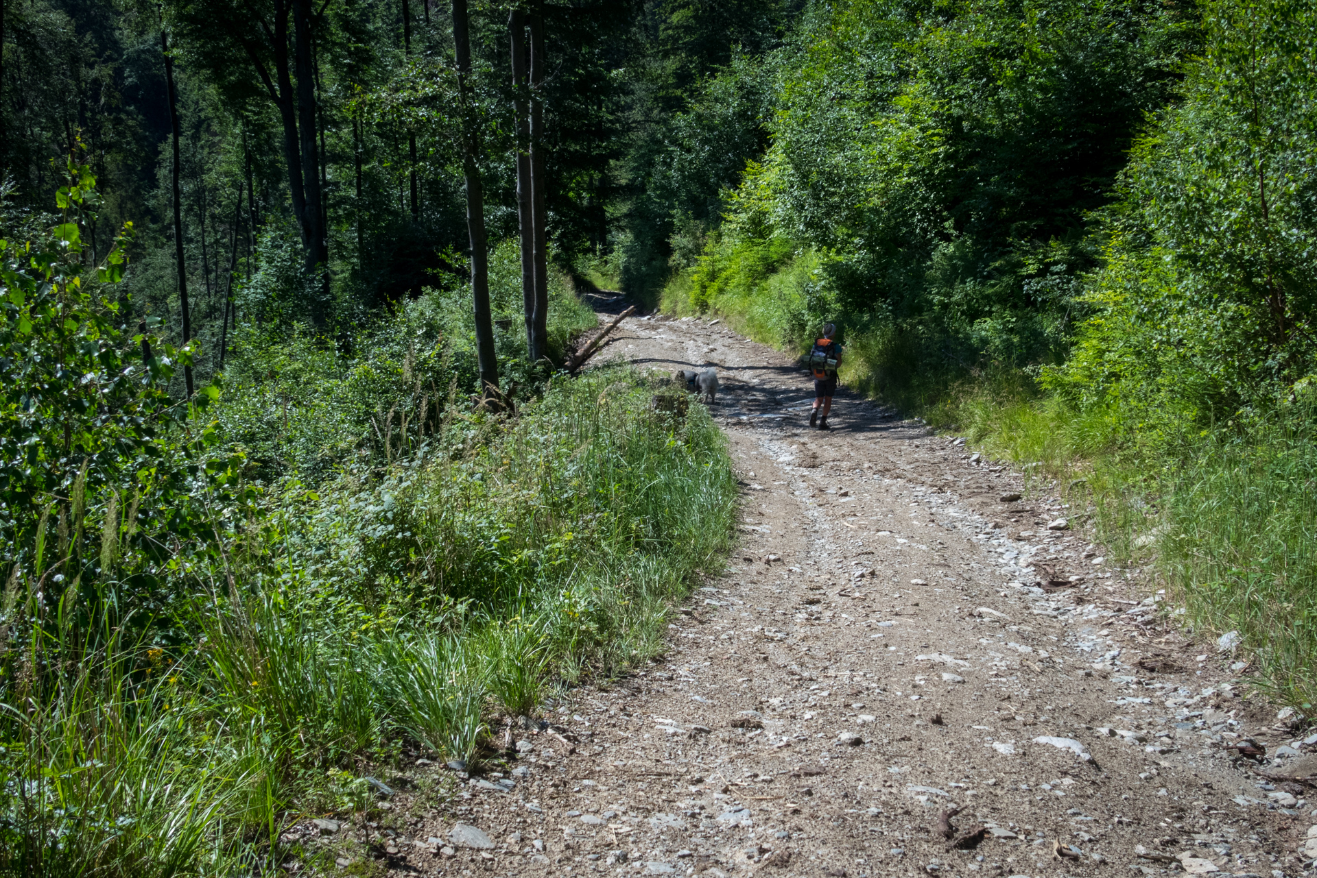 Zo Skaliska do Henclovej (Volovské vrchy)