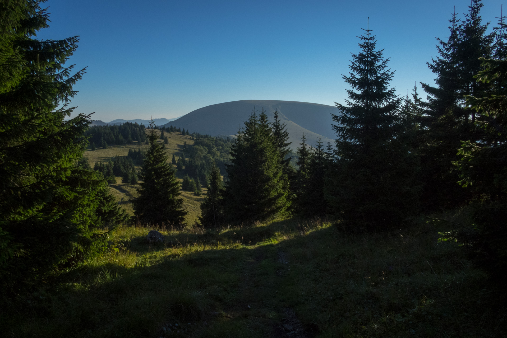 Zo Suchého vrchu cez Ploskú na voj. zotavovňu Smrekovica (Veľká Fatra)