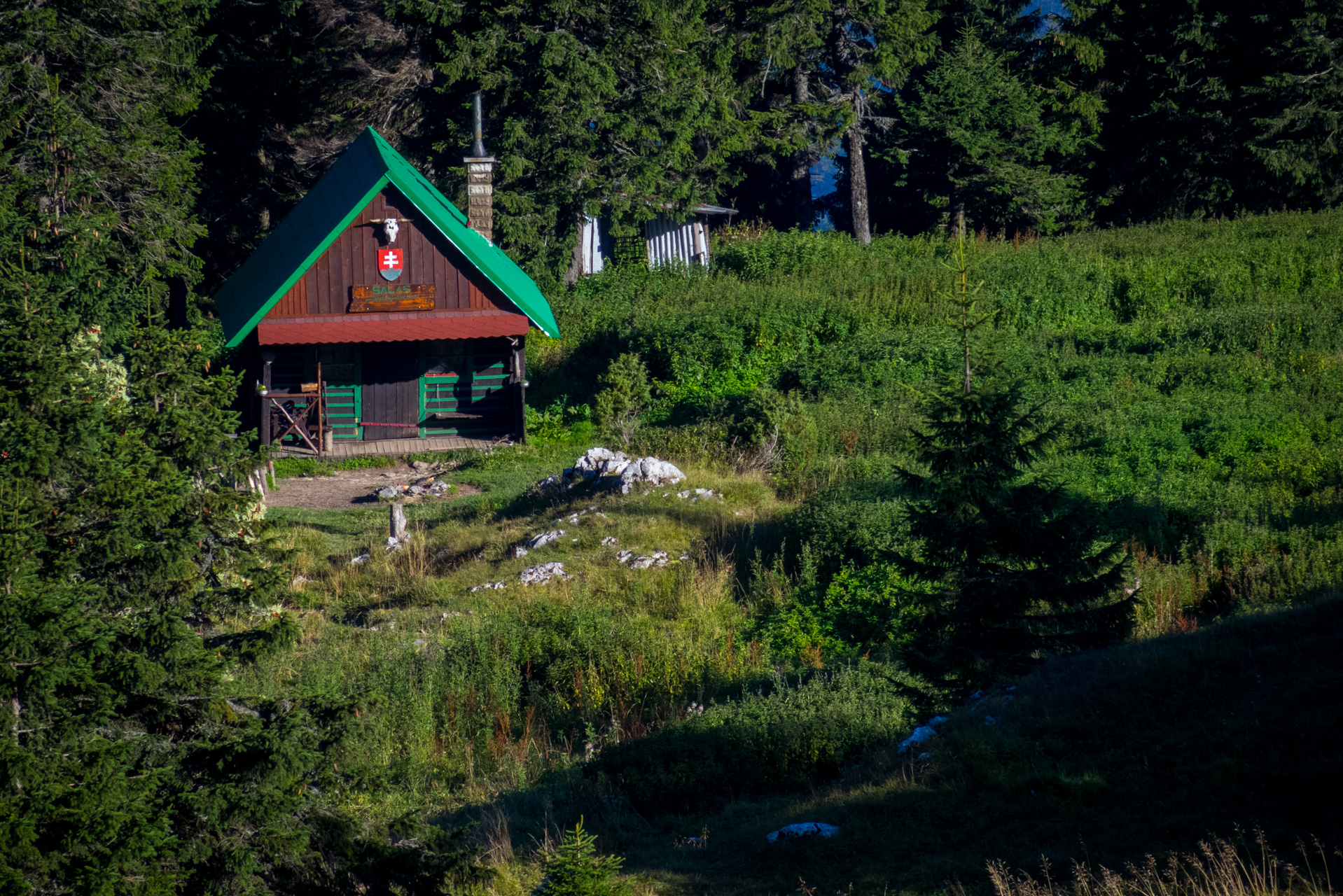 Zo Suchého vrchu cez Ploskú na voj. zotavovňu Smrekovica (Veľká Fatra)