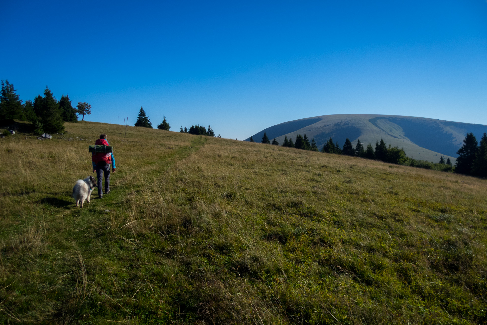 Zo Suchého vrchu cez Ploskú na voj. zotavovňu Smrekovica (Veľká Fatra)