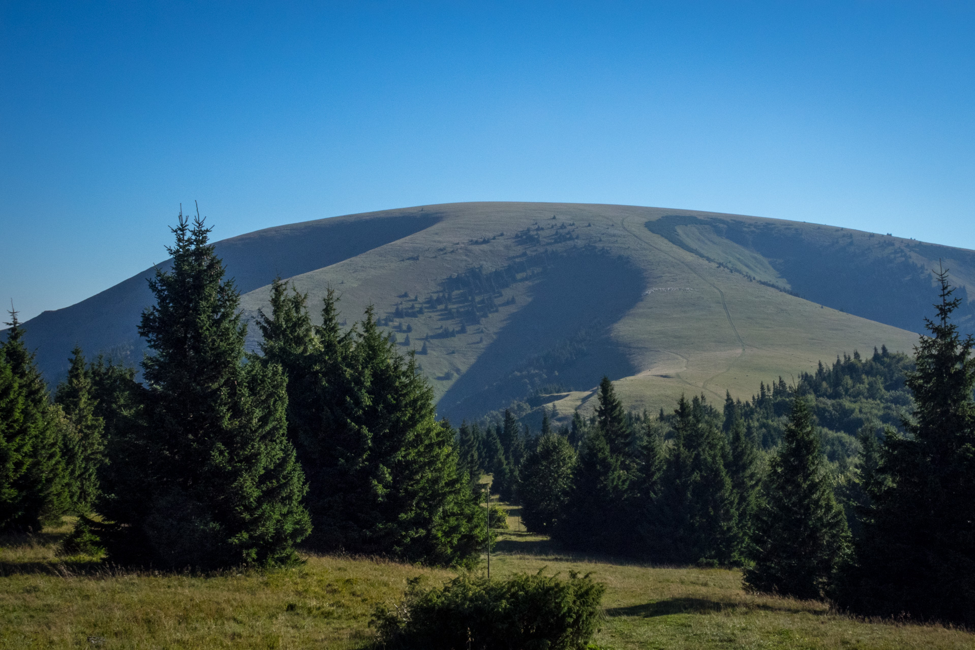 Zo Suchého vrchu cez Ploskú na voj. zotavovňu Smrekovica (Veľká Fatra)