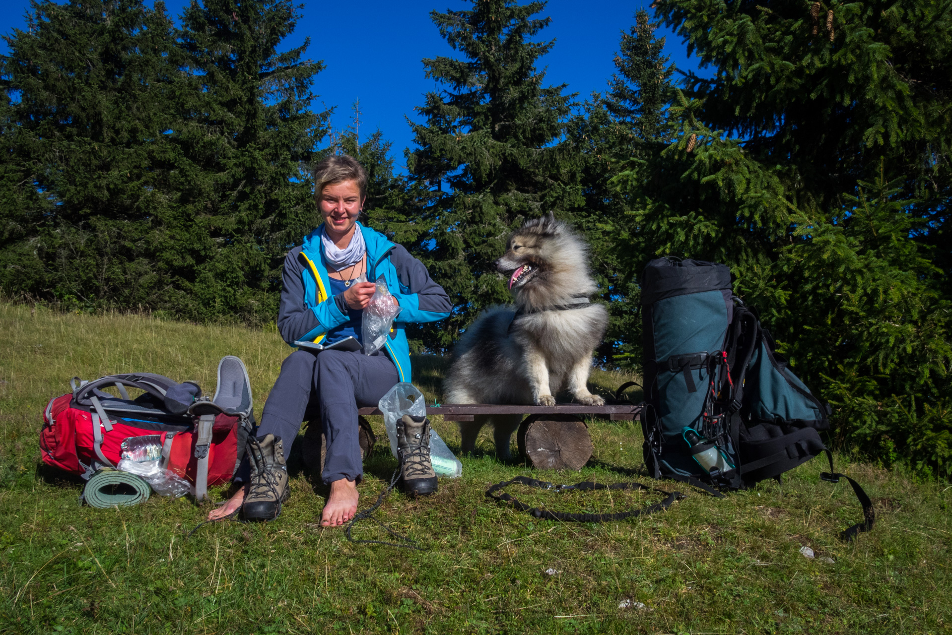 Zo Suchého vrchu cez Ploskú na voj. zotavovňu Smrekovica (Veľká Fatra)