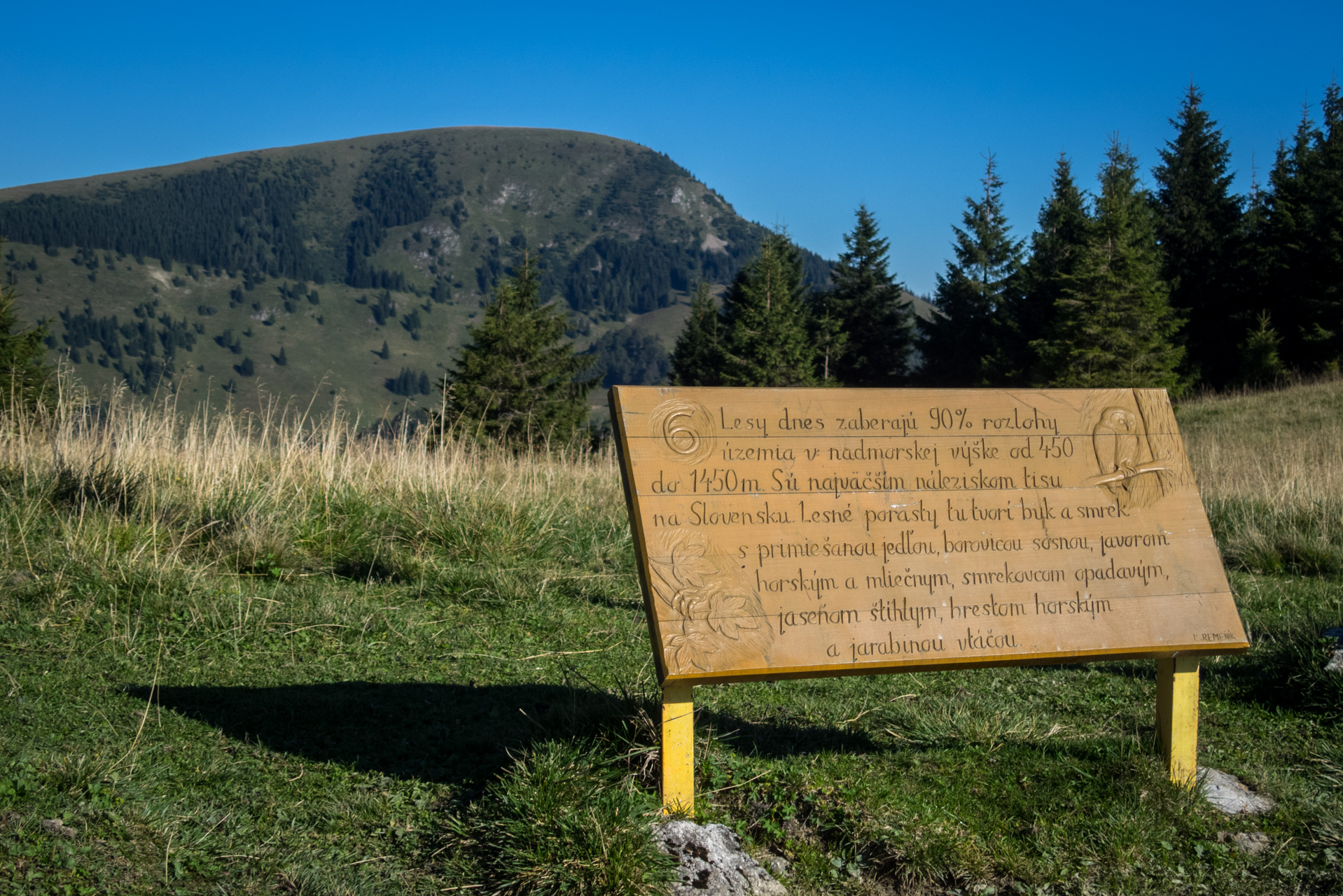 Zo Suchého vrchu cez Ploskú na voj. zotavovňu Smrekovica (Veľká Fatra)