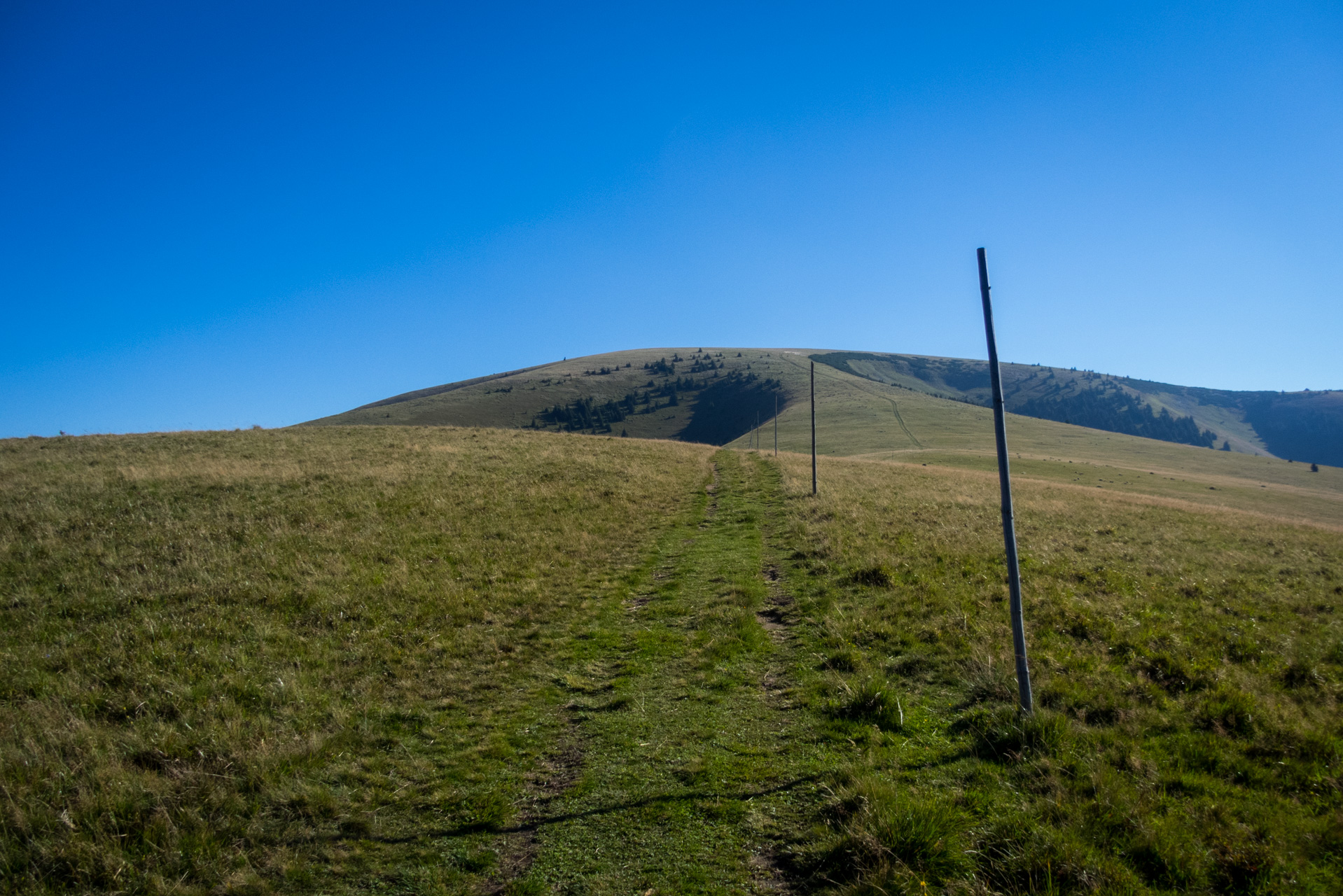 Zo Suchého vrchu cez Ploskú na voj. zotavovňu Smrekovica (Veľká Fatra)