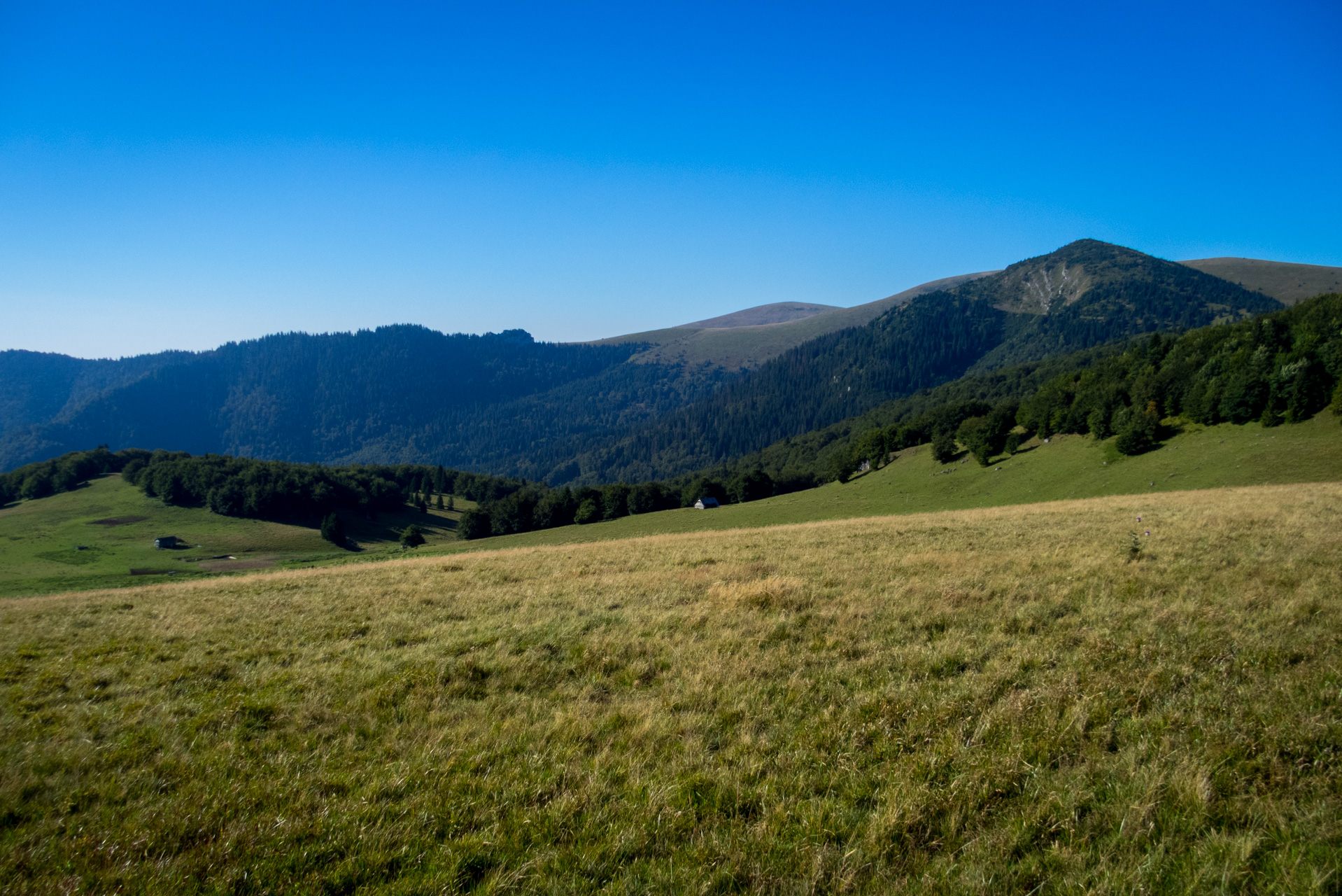 Zo Suchého vrchu cez Ploskú na voj. zotavovňu Smrekovica (Veľká Fatra)