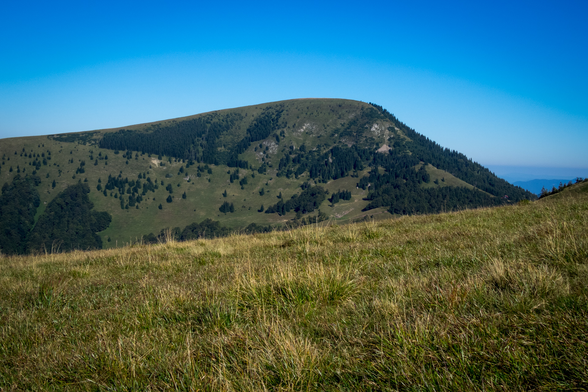 Zo Suchého vrchu cez Ploskú na voj. zotavovňu Smrekovica (Veľká Fatra)