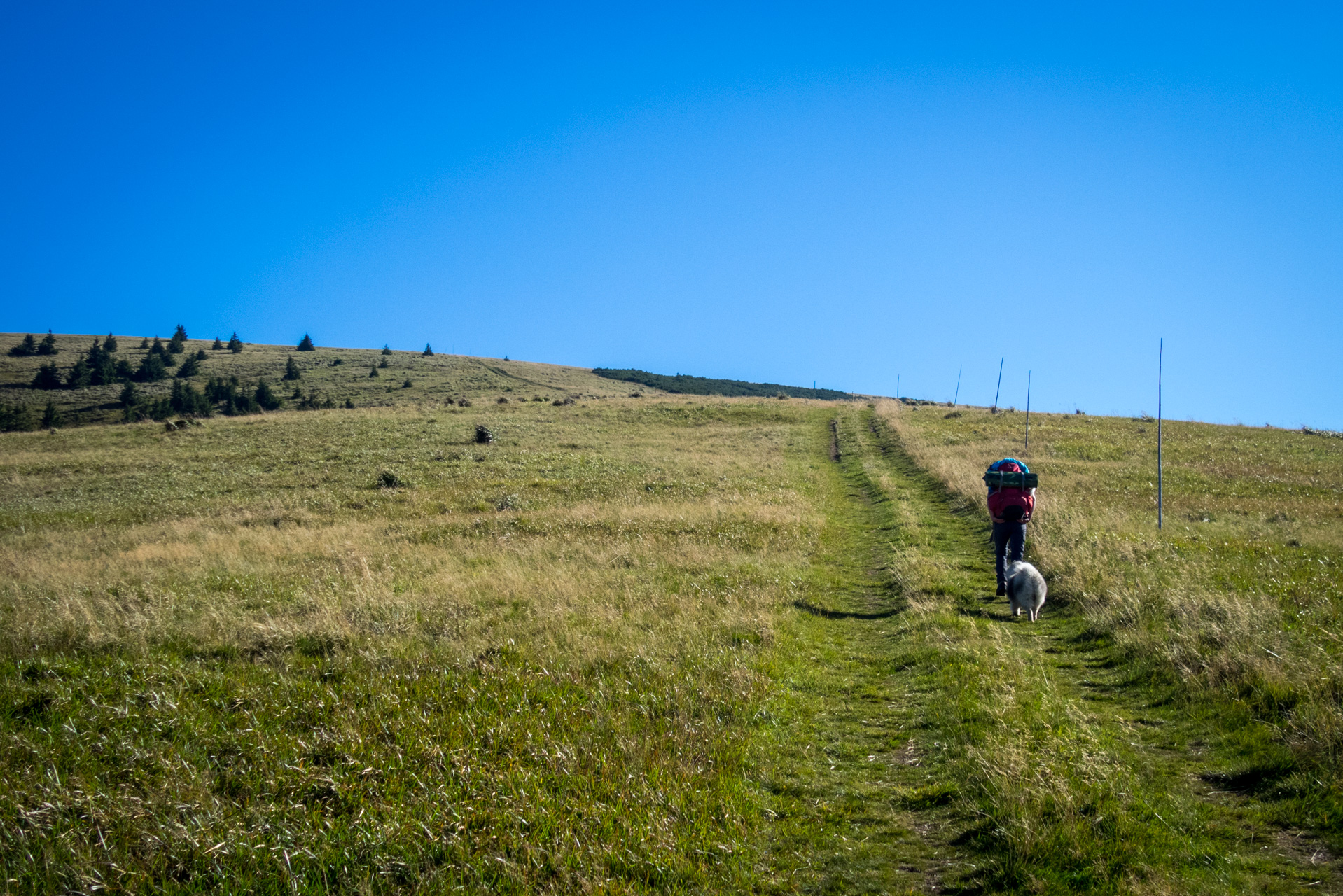 Zo Suchého vrchu cez Ploskú na voj. zotavovňu Smrekovica (Veľká Fatra)