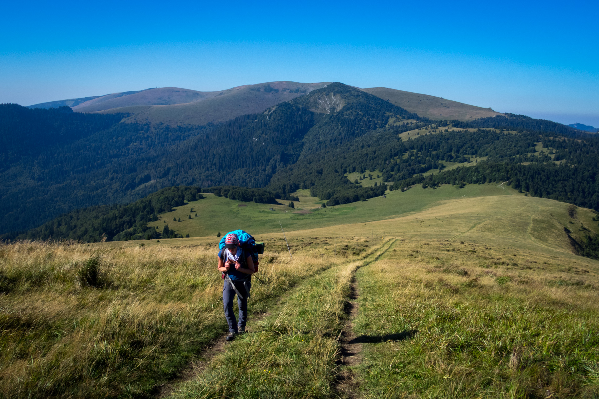 Zo Suchého vrchu cez Ploskú na voj. zotavovňu Smrekovica (Veľká Fatra)