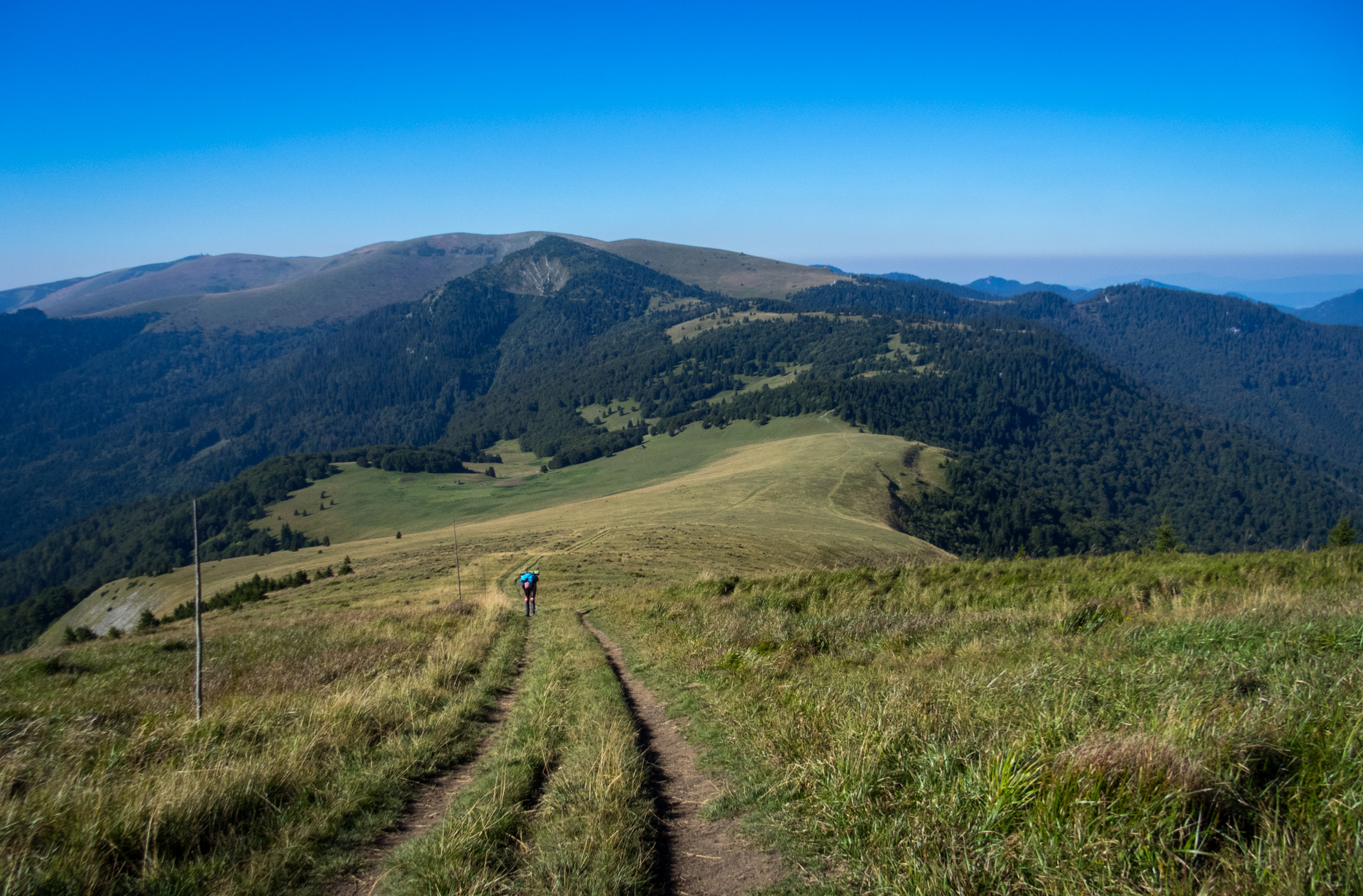 Zo Suchého vrchu cez Ploskú na voj. zotavovňu Smrekovica (Veľká Fatra)