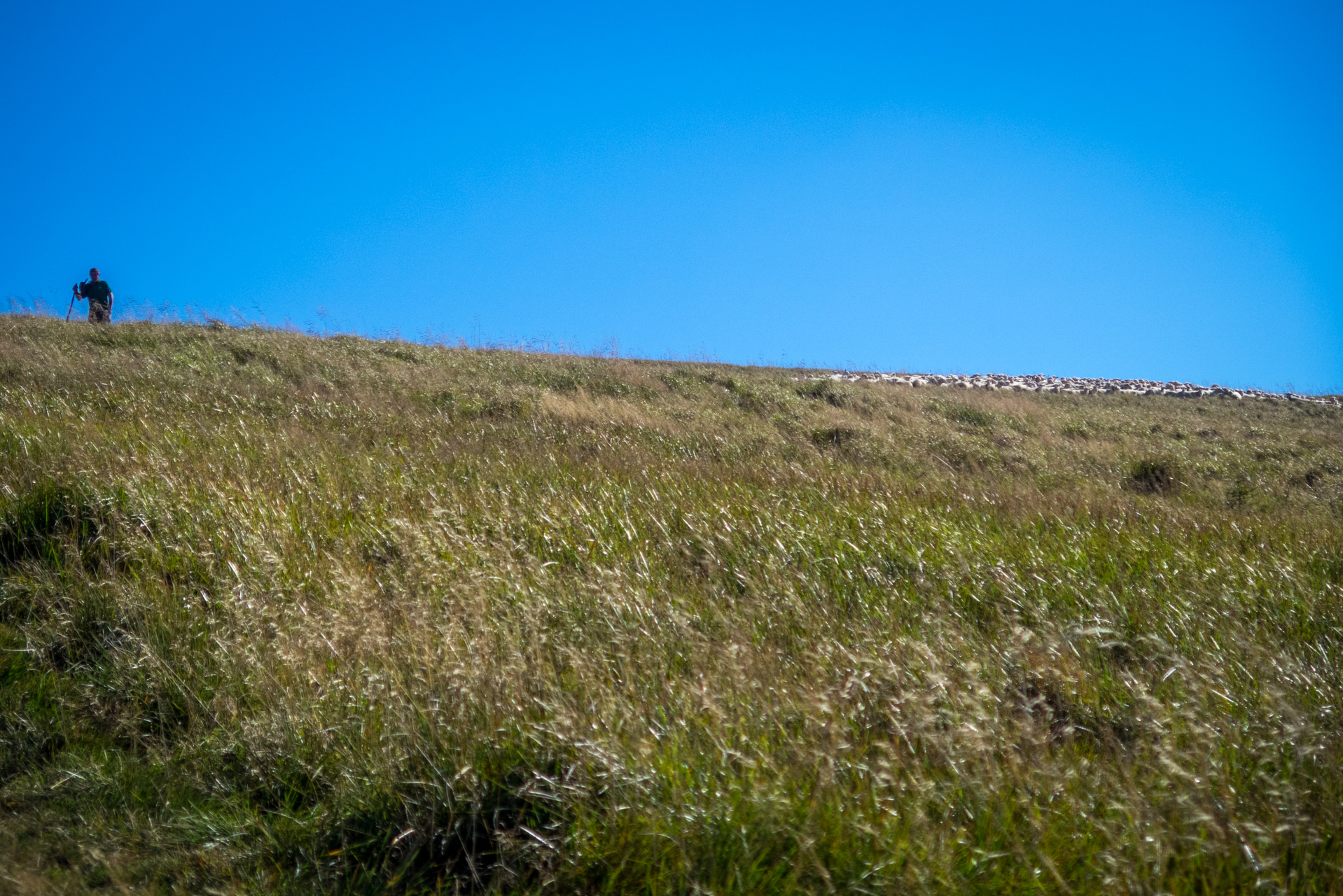 Zo Suchého vrchu cez Ploskú na voj. zotavovňu Smrekovica (Veľká Fatra)