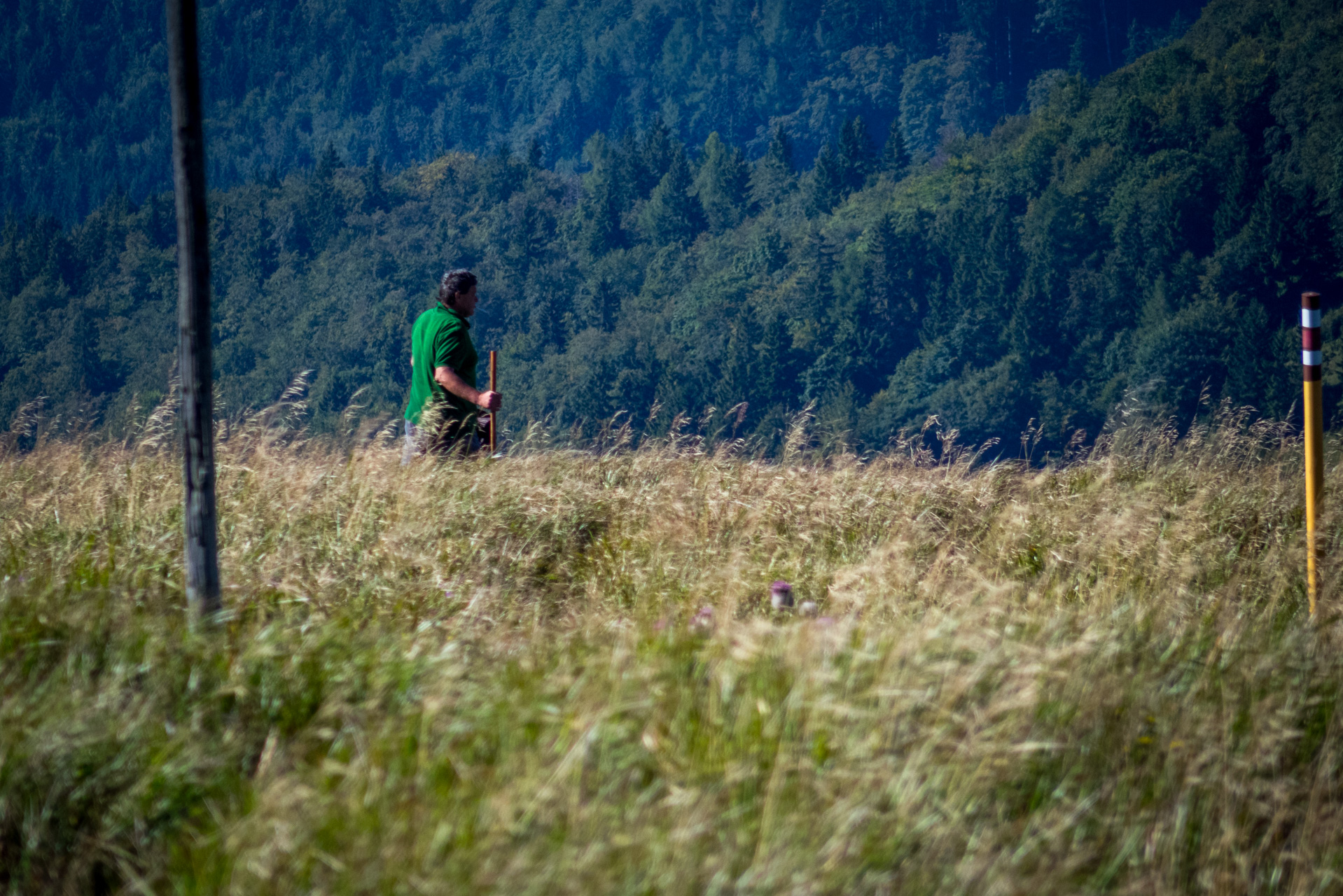 Zo Suchého vrchu cez Ploskú na voj. zotavovňu Smrekovica (Veľká Fatra)