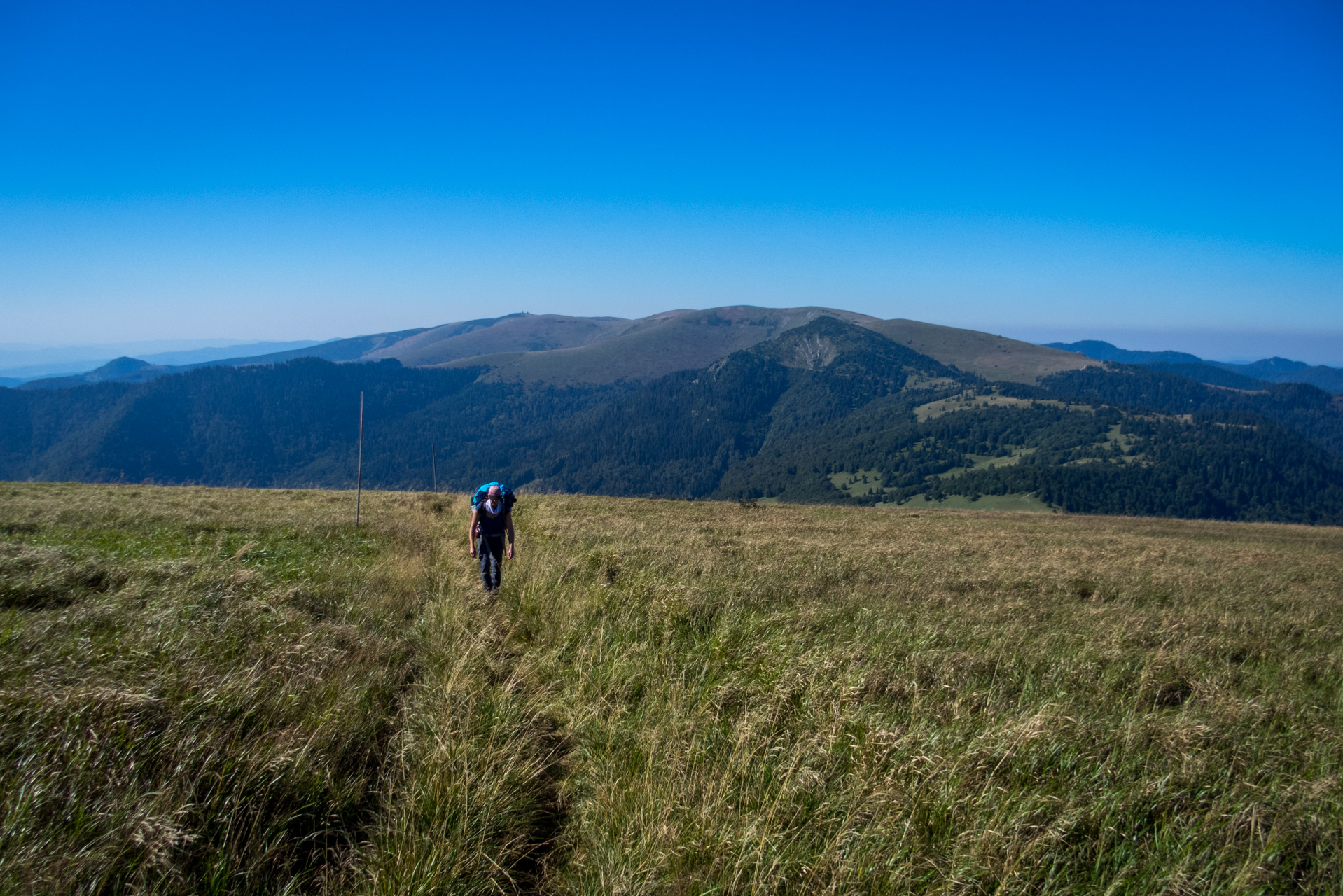 Zo Suchého vrchu cez Ploskú na voj. zotavovňu Smrekovica (Veľká Fatra)