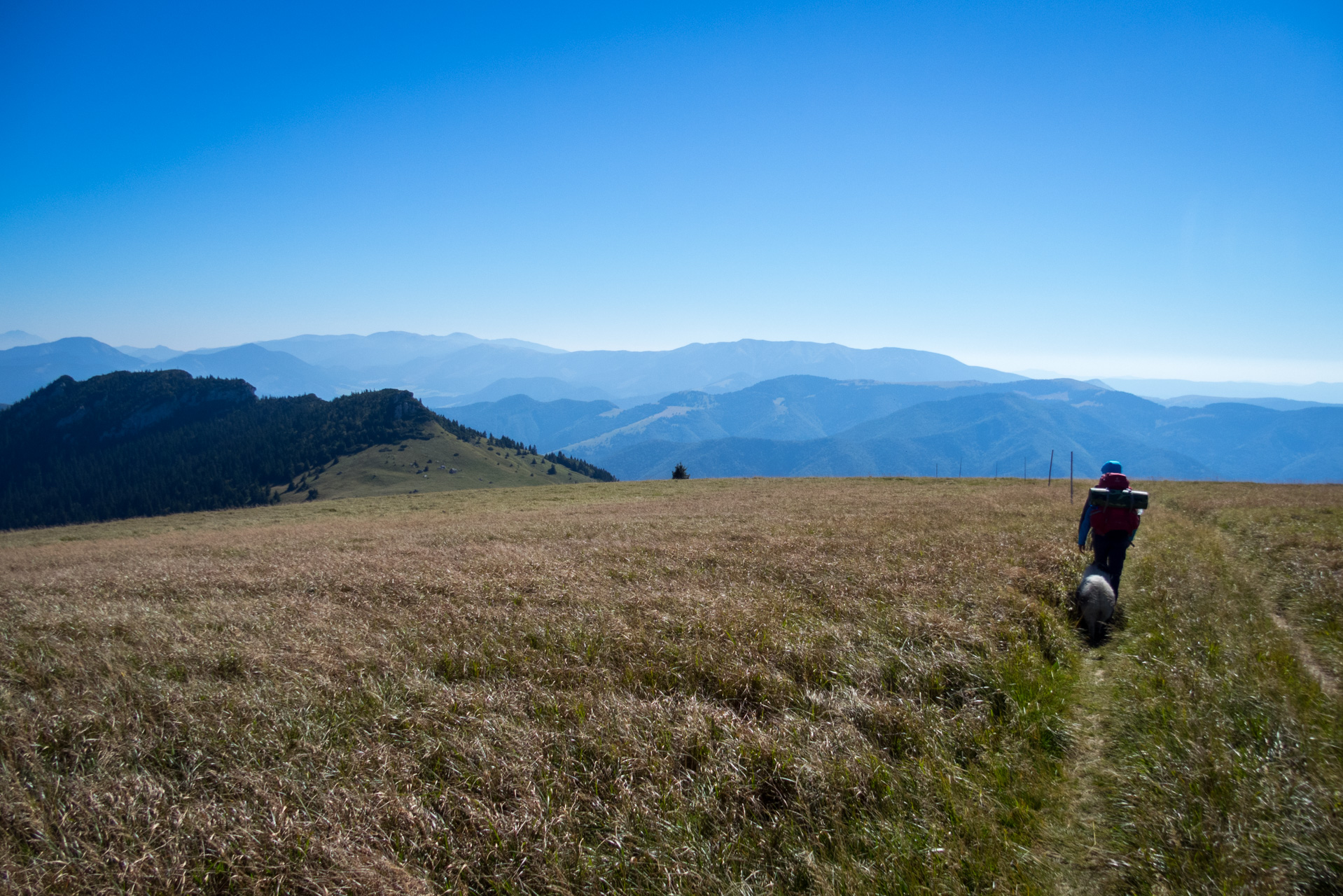 Zo Suchého vrchu cez Ploskú na voj. zotavovňu Smrekovica (Veľká Fatra)