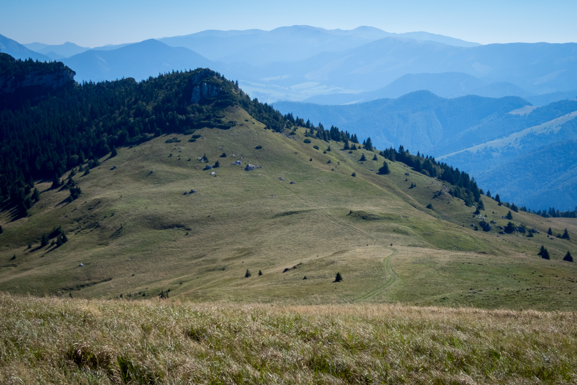 Zo Suchého vrchu cez Ploskú na voj. zotavovňu Smrekovica (Veľká Fatra)