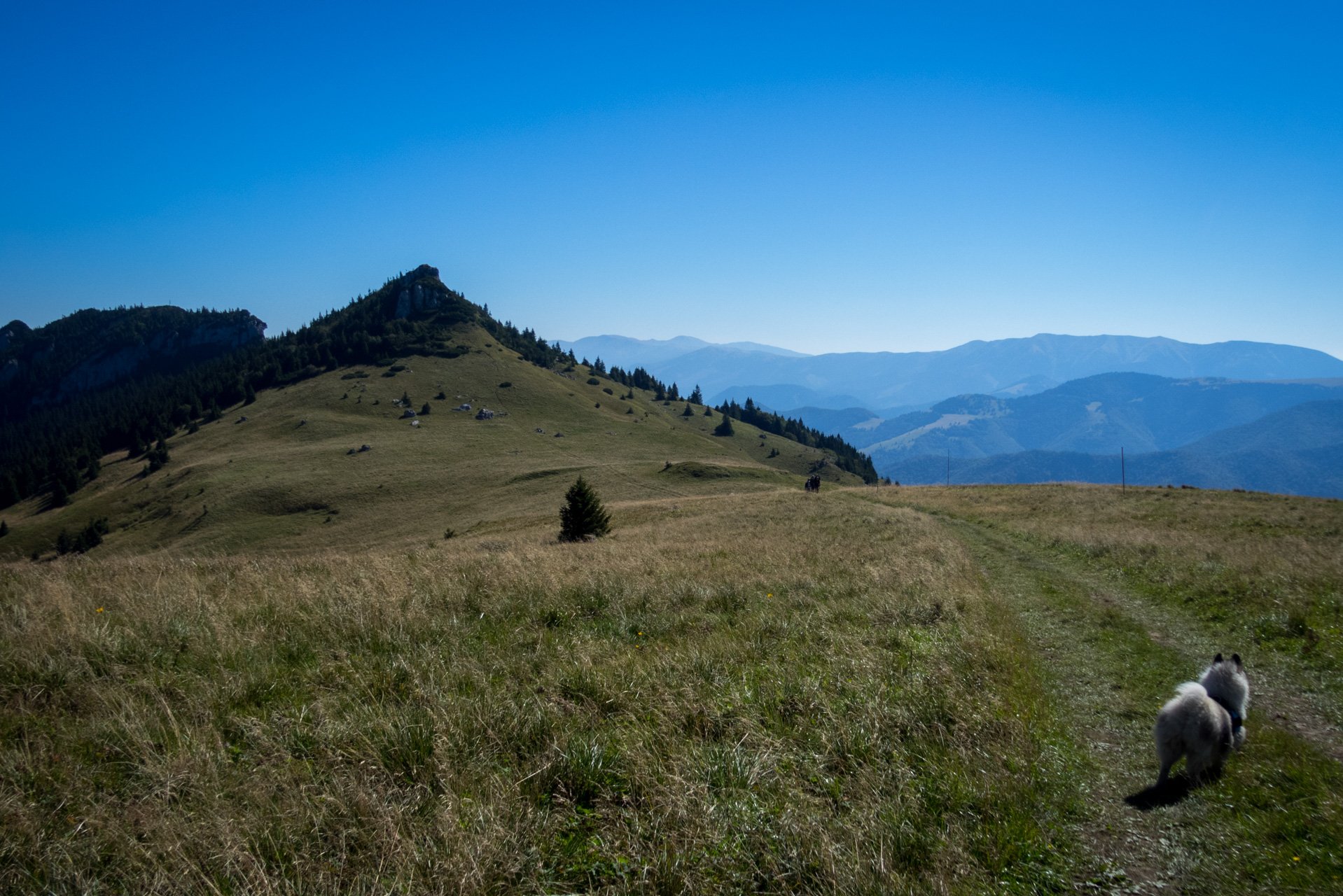 Zo Suchého vrchu cez Ploskú na voj. zotavovňu Smrekovica (Veľká Fatra)