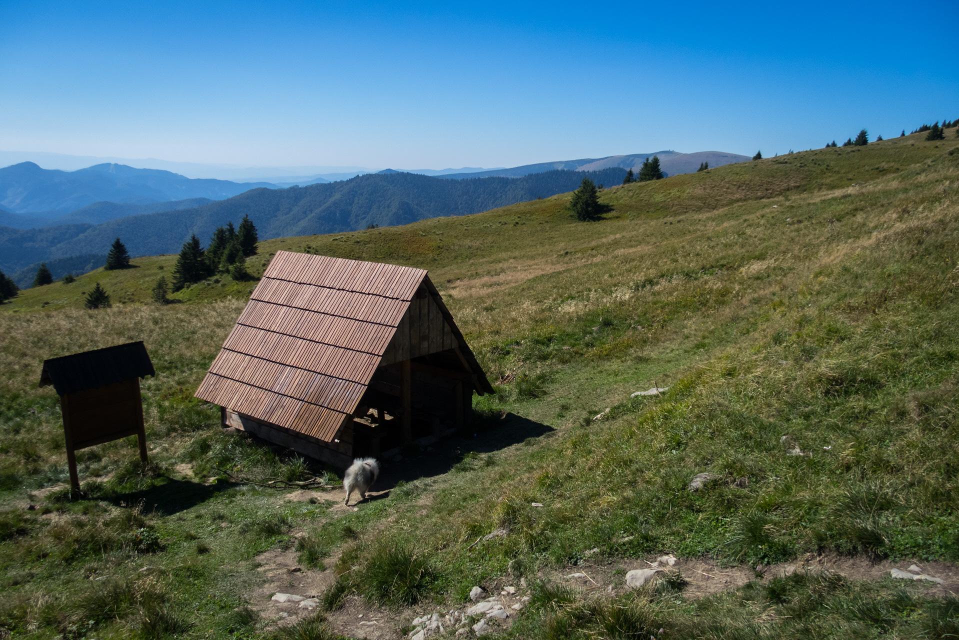 Zo Suchého vrchu cez Ploskú na voj. zotavovňu Smrekovica (Veľká Fatra)