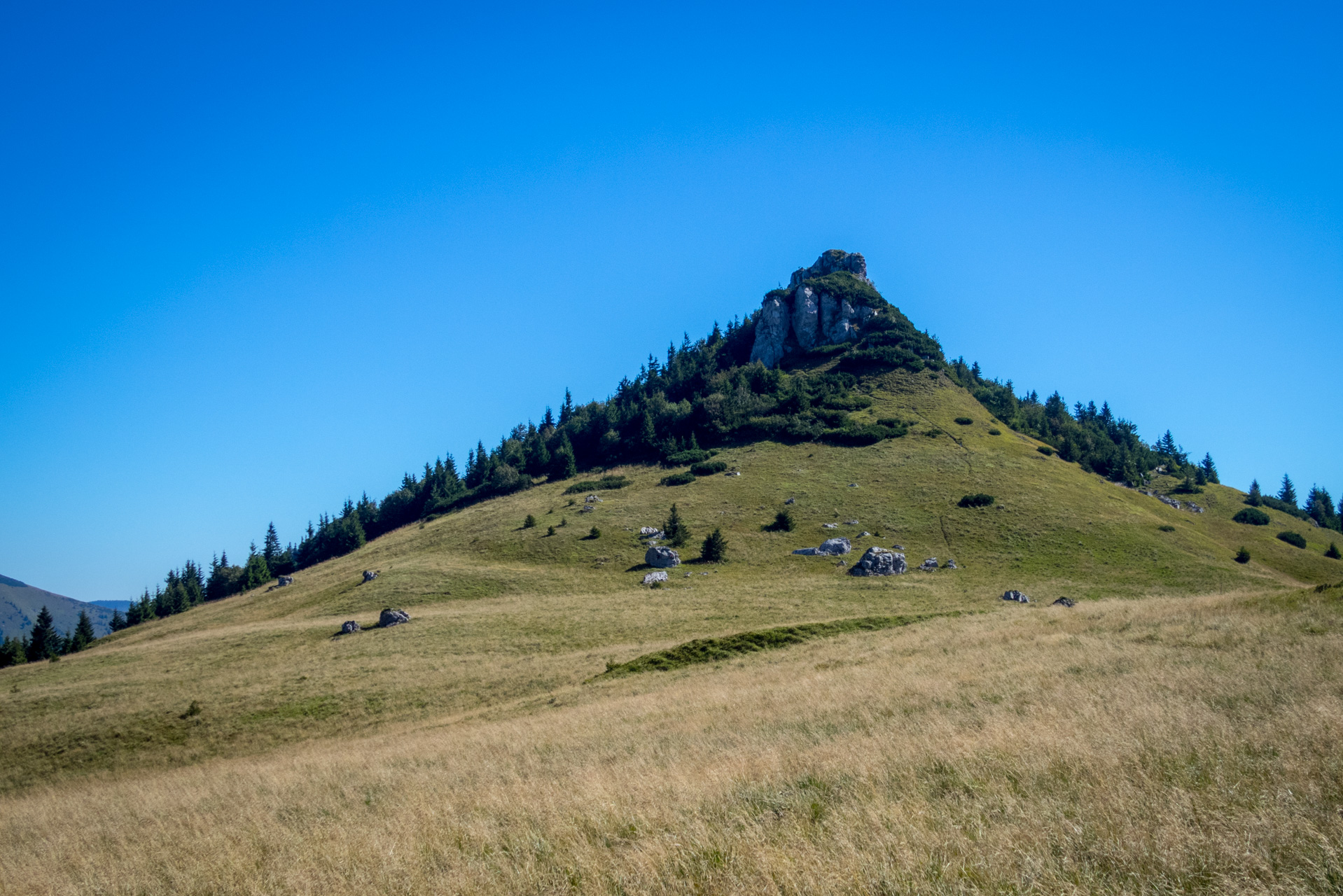 Zo Suchého vrchu cez Ploskú na voj. zotavovňu Smrekovica (Veľká Fatra)