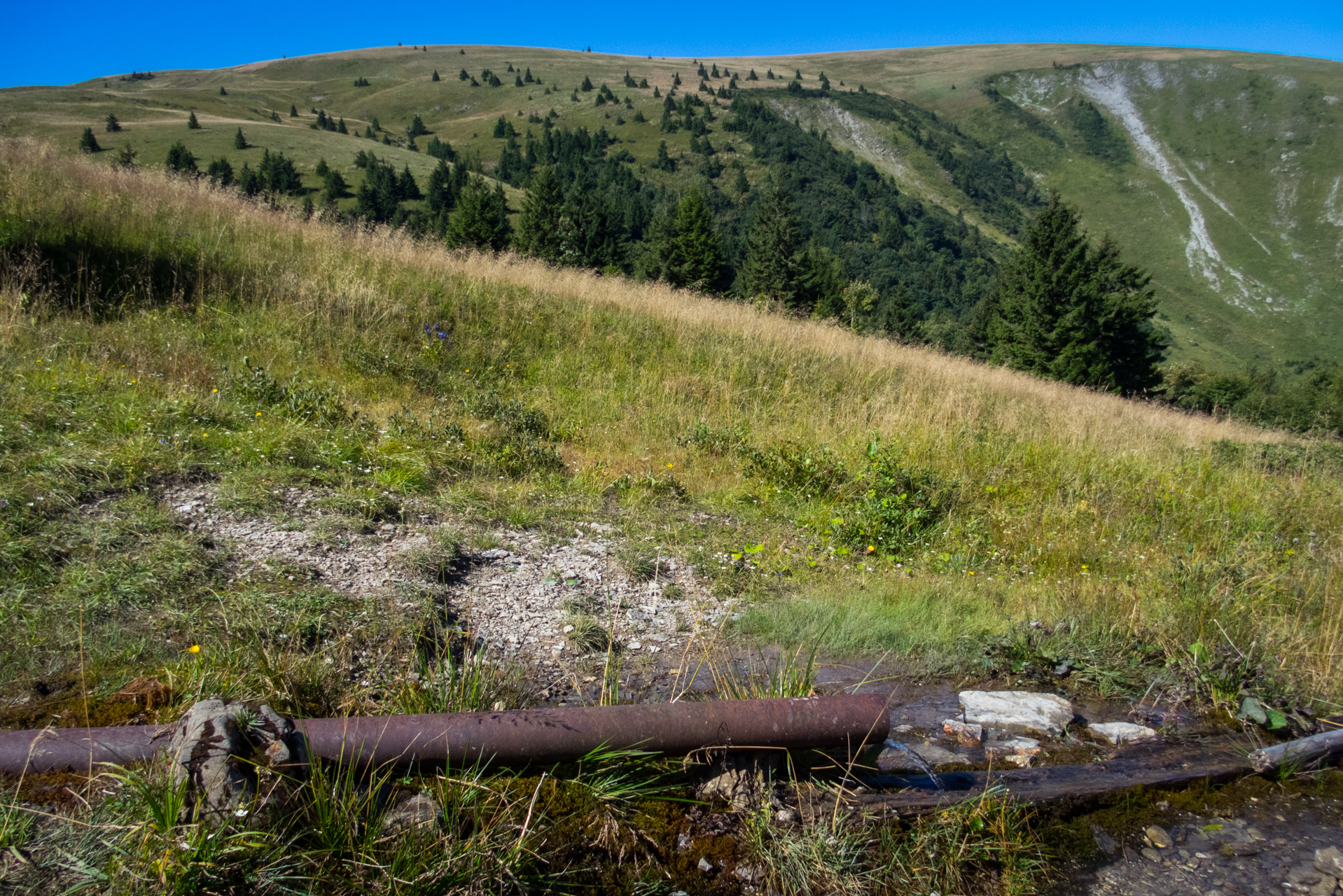 Zo Suchého vrchu cez Ploskú na voj. zotavovňu Smrekovica (Veľká Fatra)