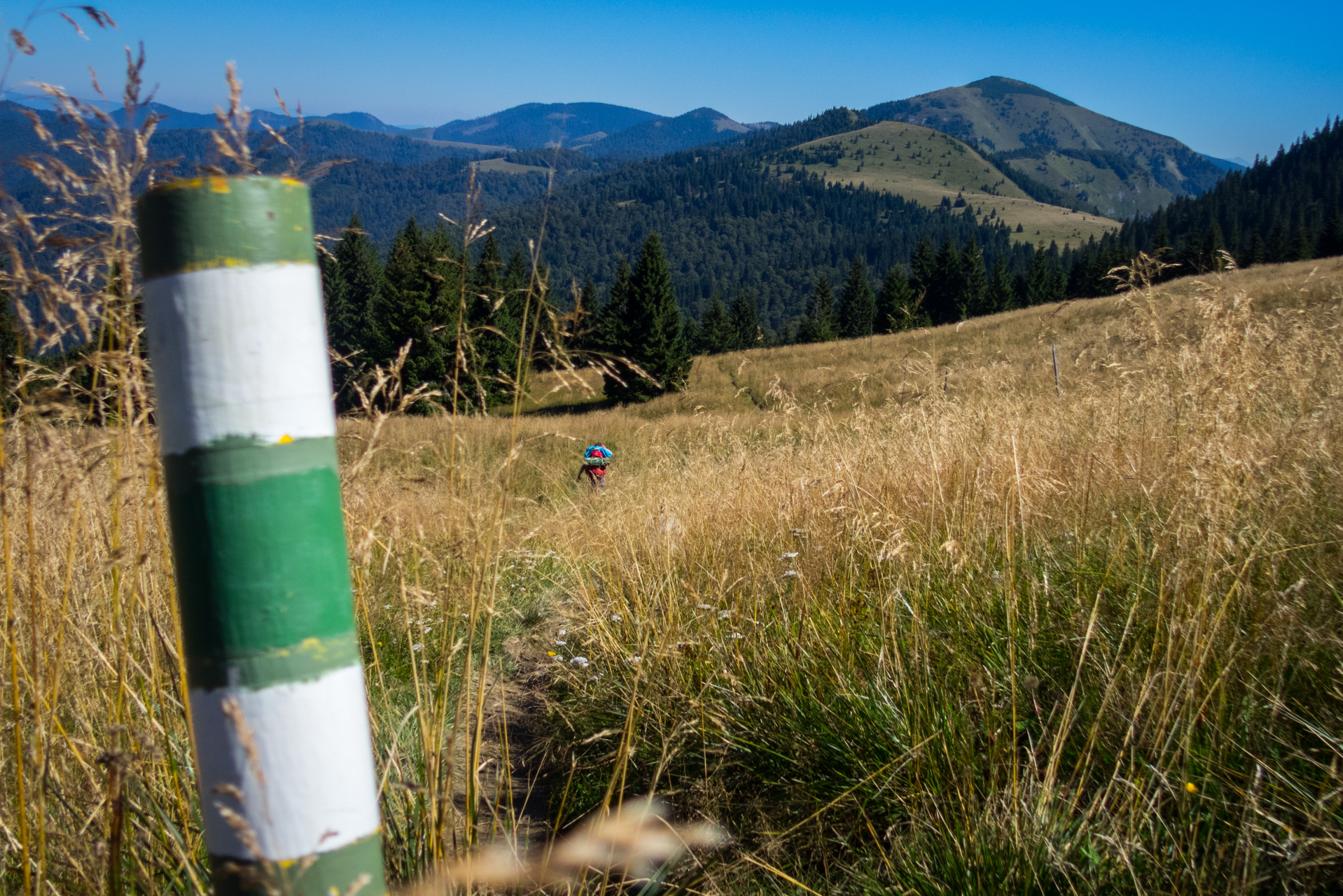 Zo Suchého vrchu cez Ploskú na voj. zotavovňu Smrekovica (Veľká Fatra)