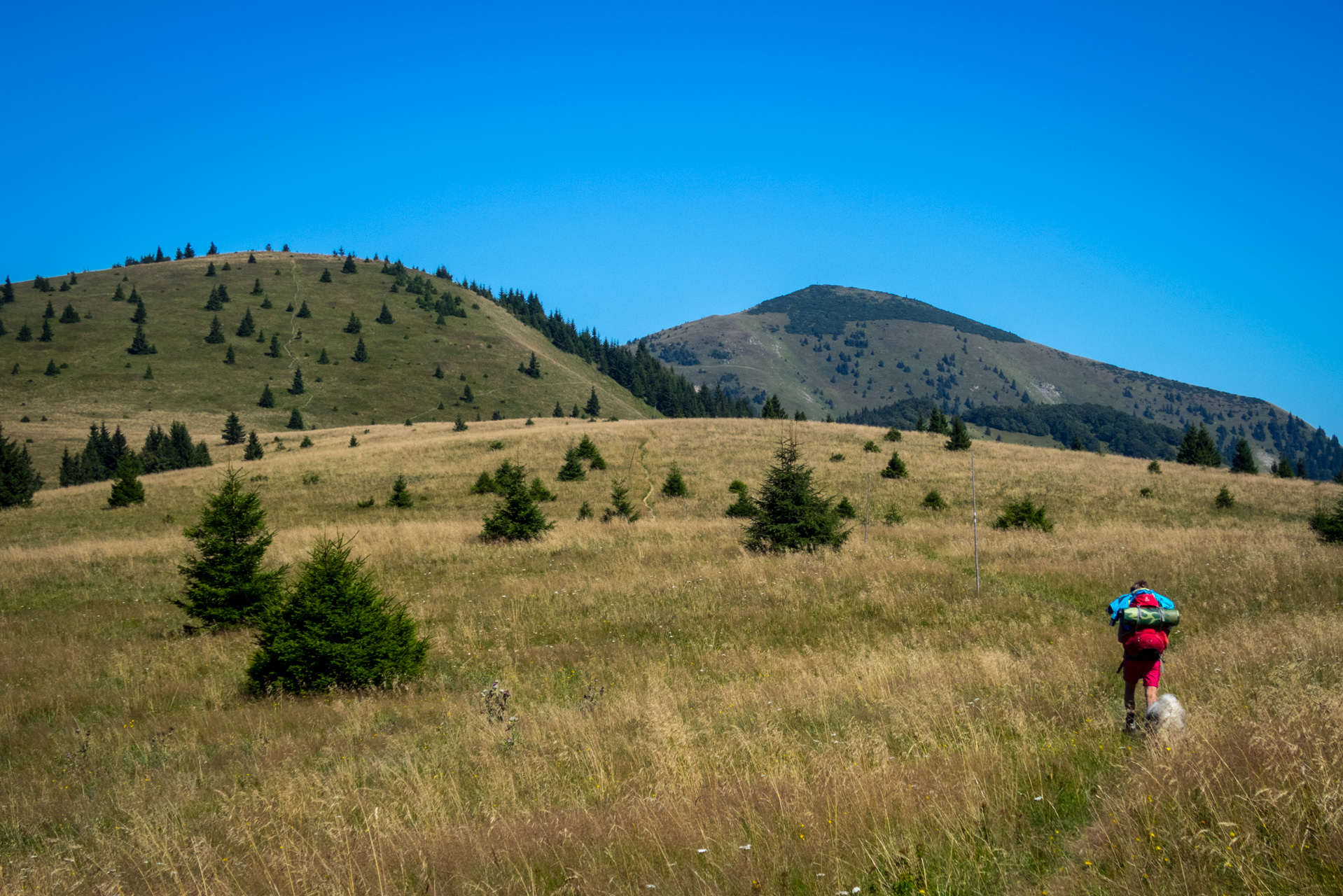 Zo Suchého vrchu cez Ploskú na voj. zotavovňu Smrekovica (Veľká Fatra)