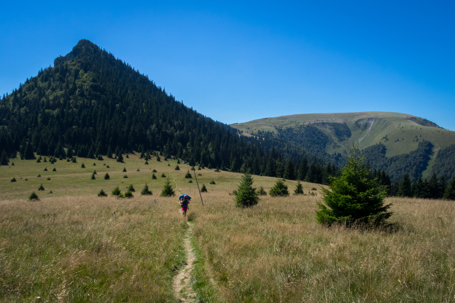 Zo Suchého vrchu cez Ploskú na voj. zotavovňu Smrekovica (Veľká Fatra)