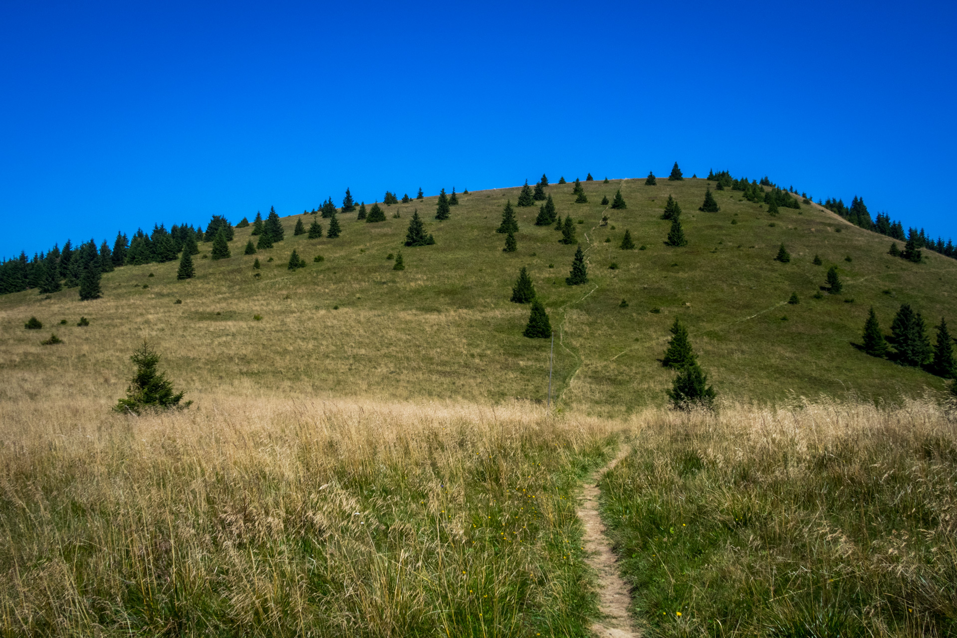 Zo Suchého vrchu cez Ploskú na voj. zotavovňu Smrekovica (Veľká Fatra)