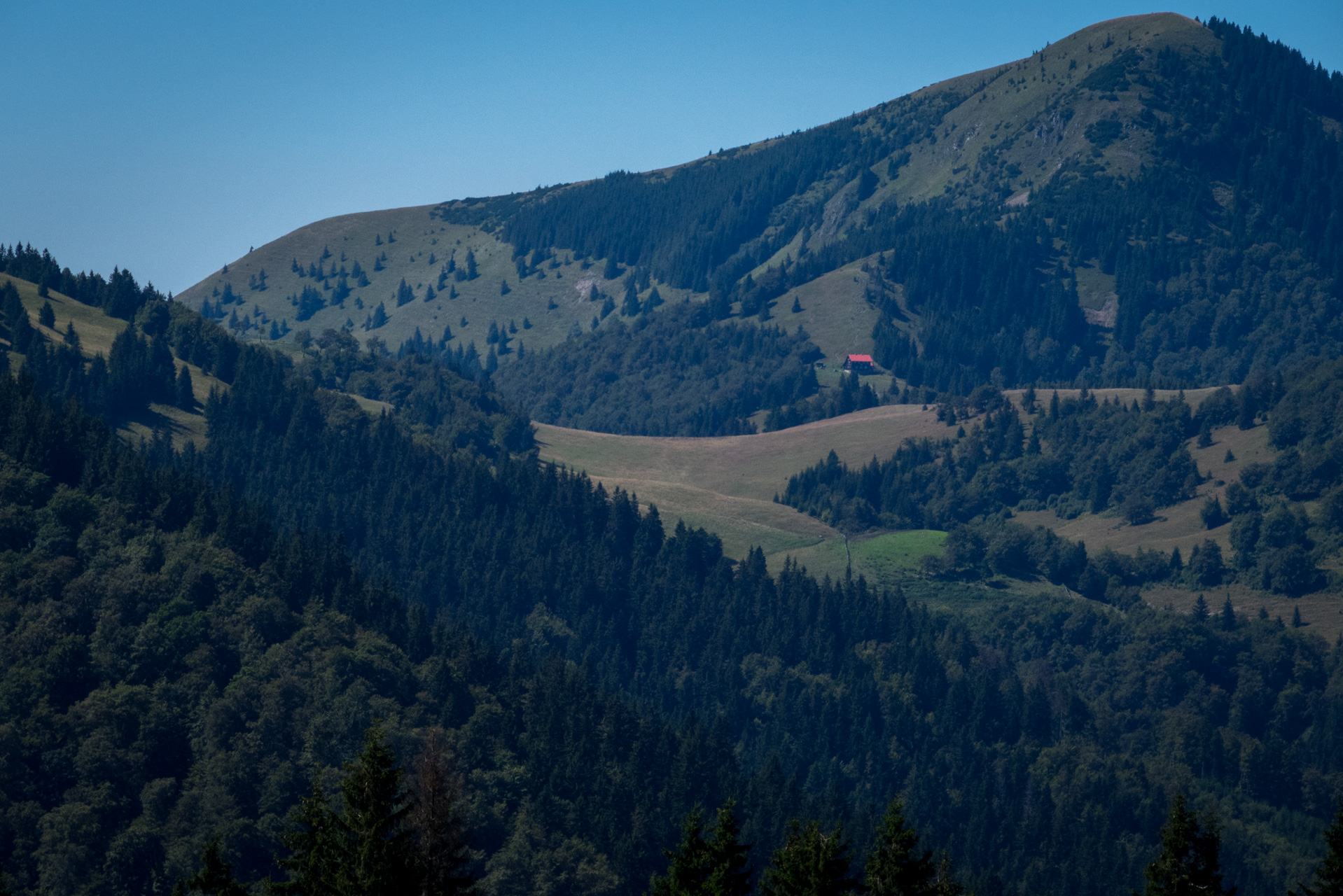 Zo Suchého vrchu cez Ploskú na voj. zotavovňu Smrekovica (Veľká Fatra)