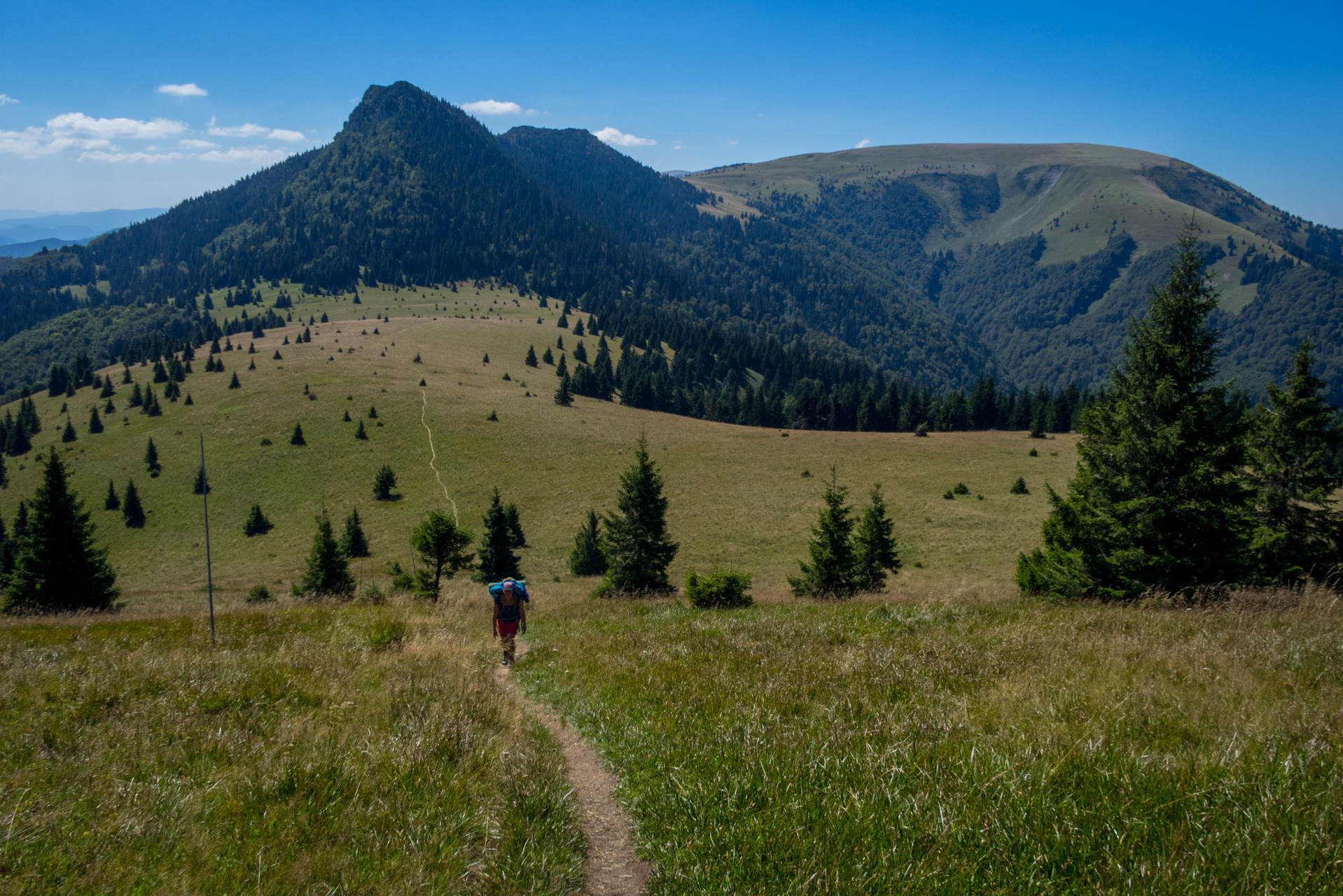 Zo Suchého vrchu cez Ploskú na voj. zotavovňu Smrekovica (Veľká Fatra)