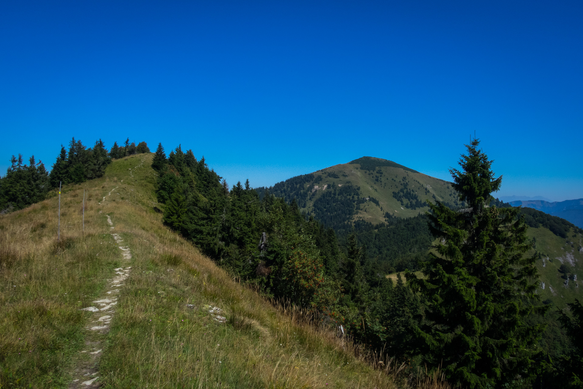 Zo Suchého vrchu cez Ploskú na voj. zotavovňu Smrekovica (Veľká Fatra)