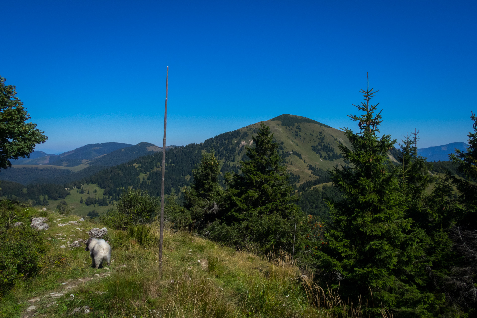 Zo Suchého vrchu cez Ploskú na voj. zotavovňu Smrekovica (Veľká Fatra)