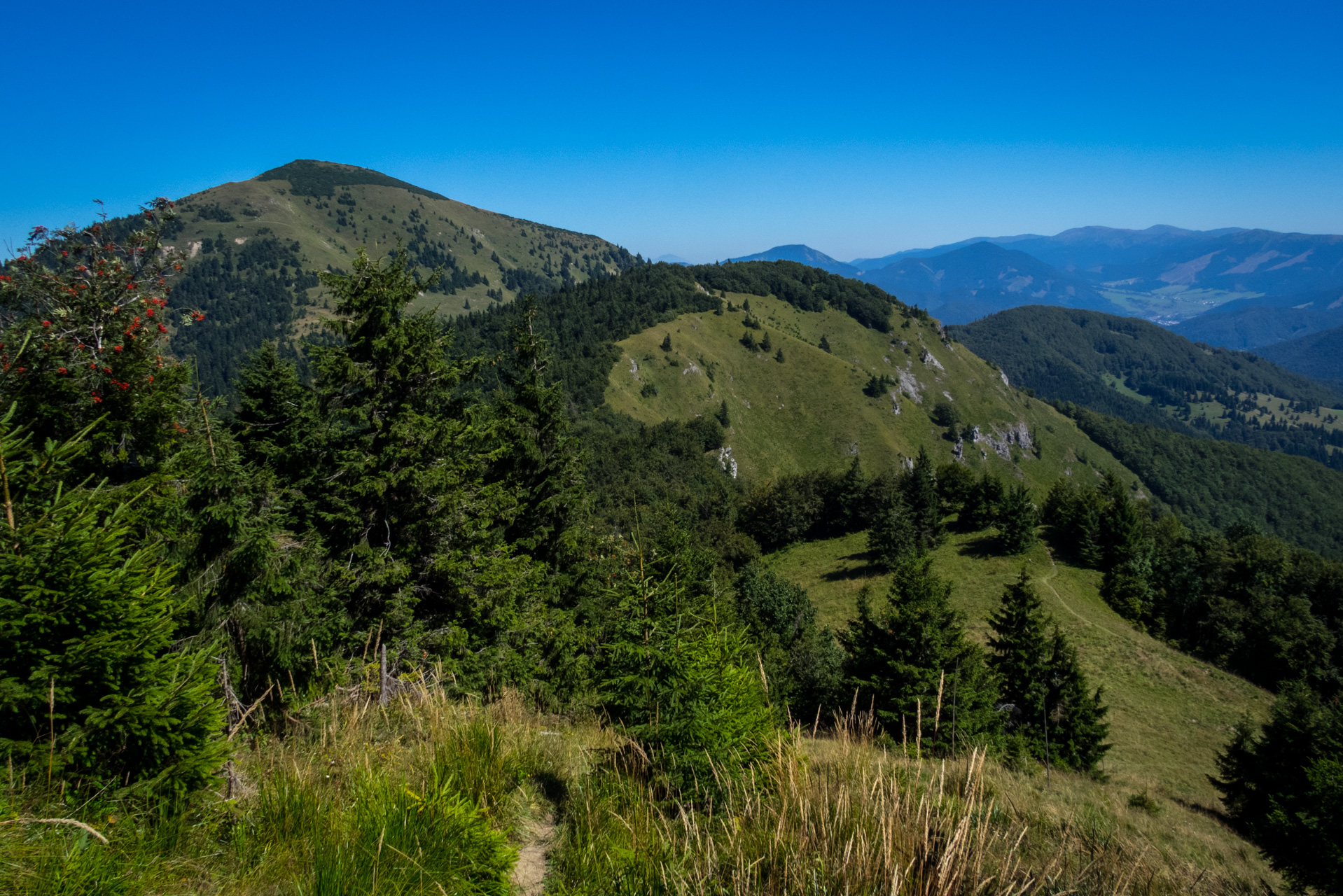 Zo Suchého vrchu cez Ploskú na voj. zotavovňu Smrekovica (Veľká Fatra)