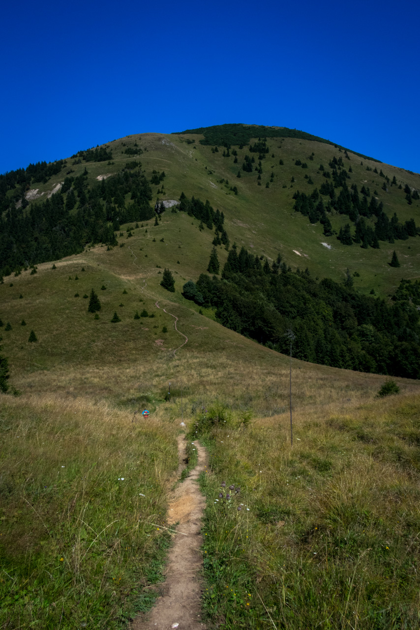 Zo Suchého vrchu cez Ploskú na voj. zotavovňu Smrekovica (Veľká Fatra)