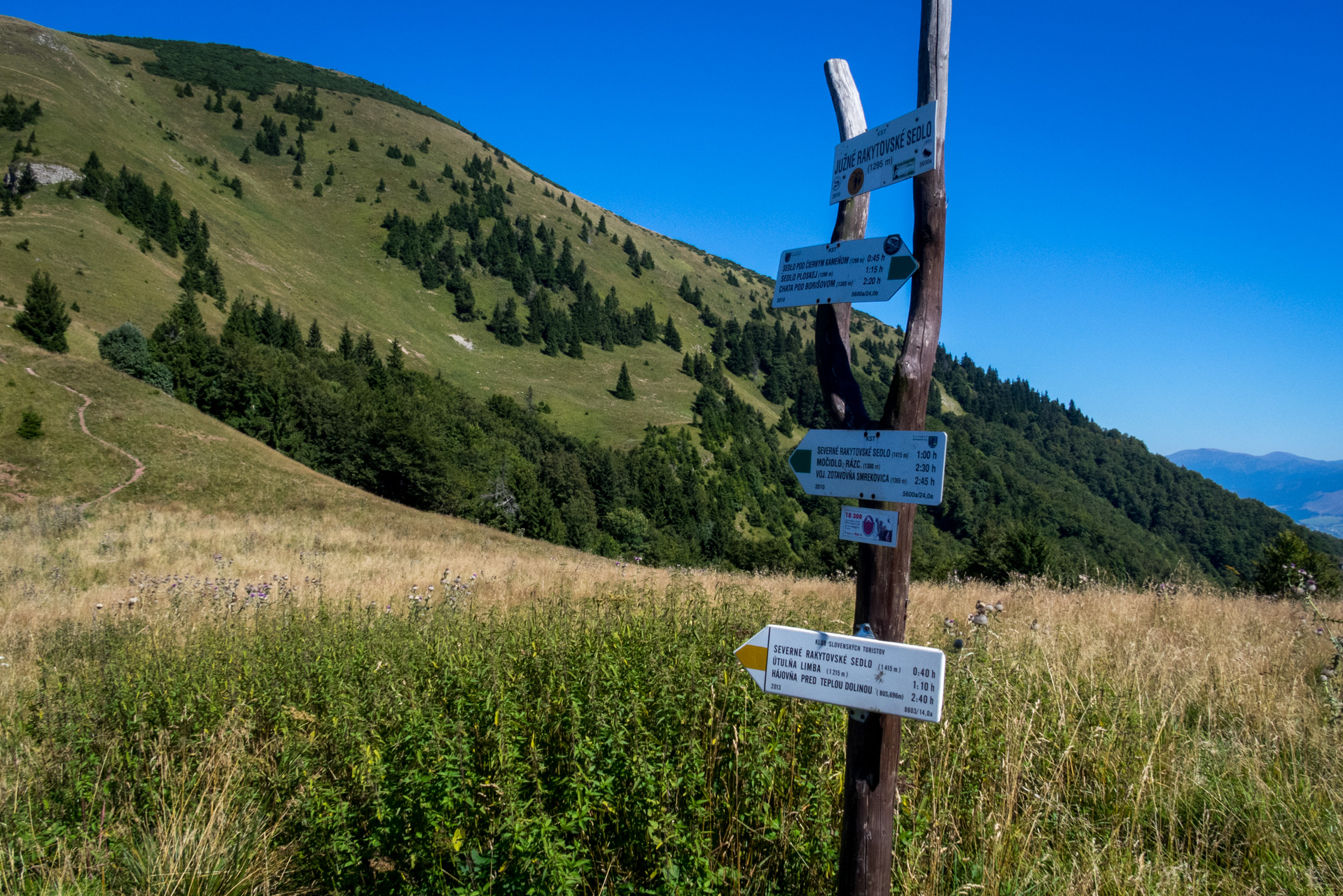 Zo Suchého vrchu cez Ploskú na voj. zotavovňu Smrekovica (Veľká Fatra)