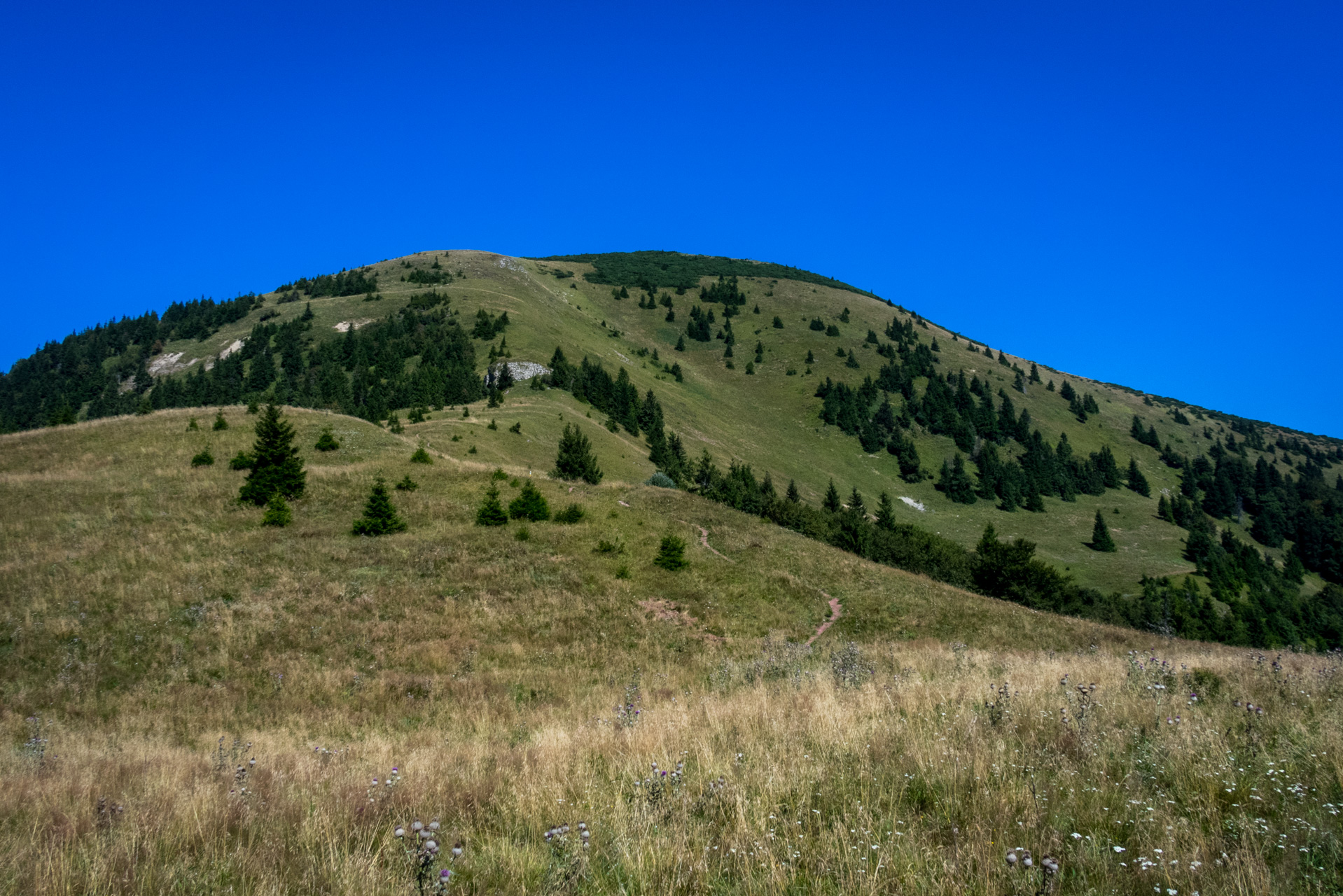 Zo Suchého vrchu cez Ploskú na voj. zotavovňu Smrekovica (Veľká Fatra)