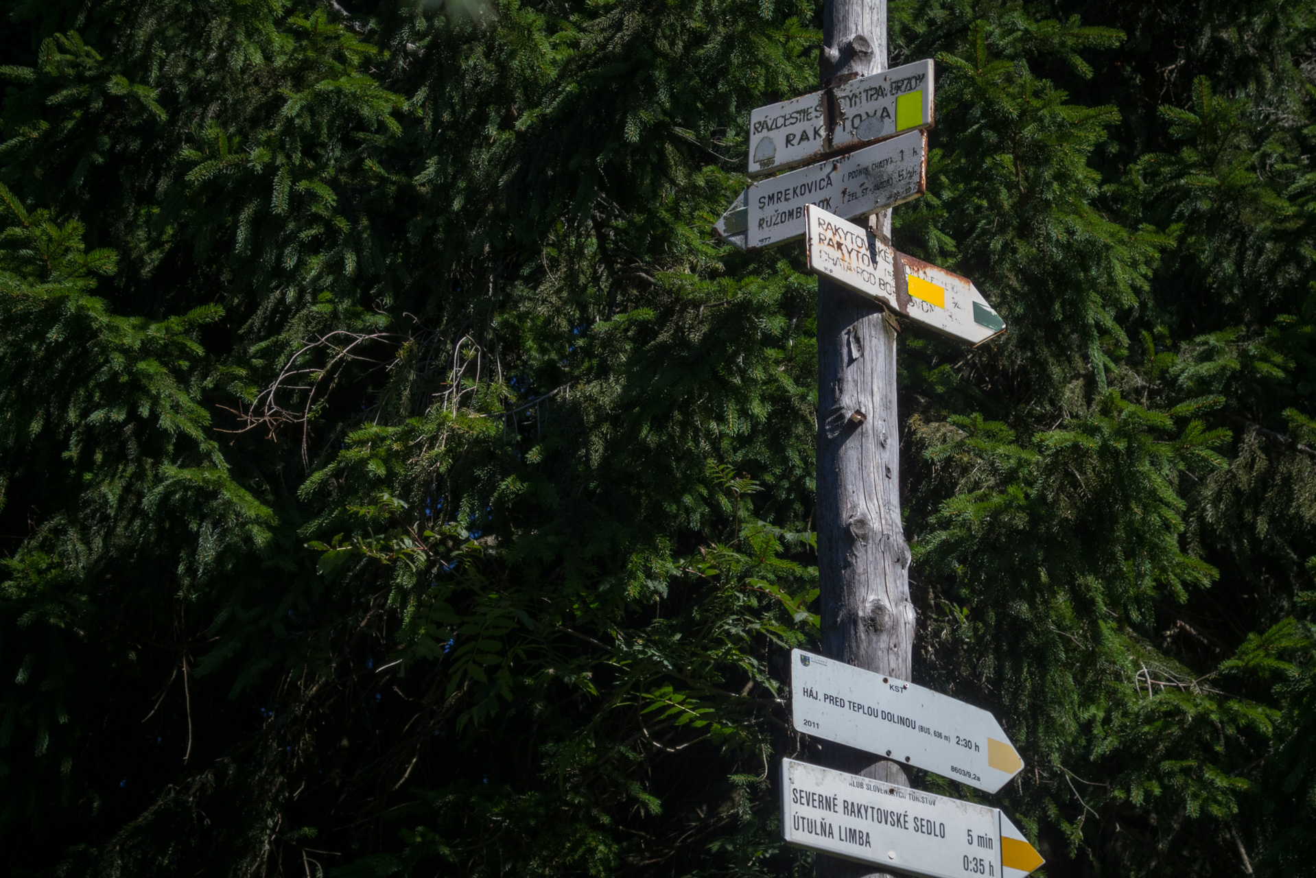 Zo Suchého vrchu cez Ploskú na voj. zotavovňu Smrekovica (Veľká Fatra)