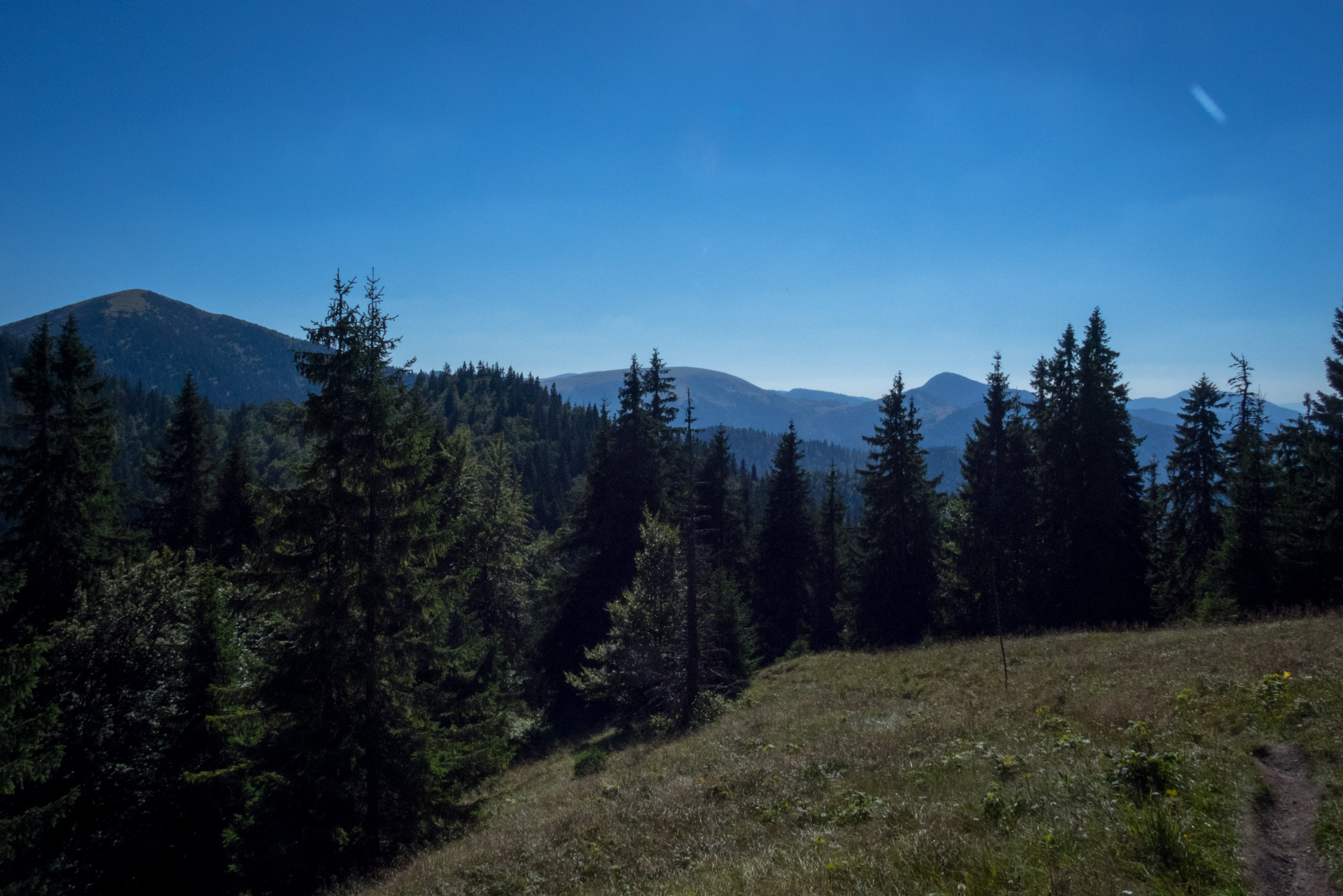 Zo Suchého vrchu cez Ploskú na voj. zotavovňu Smrekovica (Veľká Fatra)