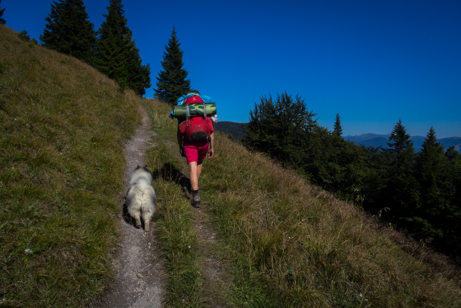 Zo Suchého vrchu cez Ploskú na voj. zotavovňu Smrekovica (Veľká Fatra)