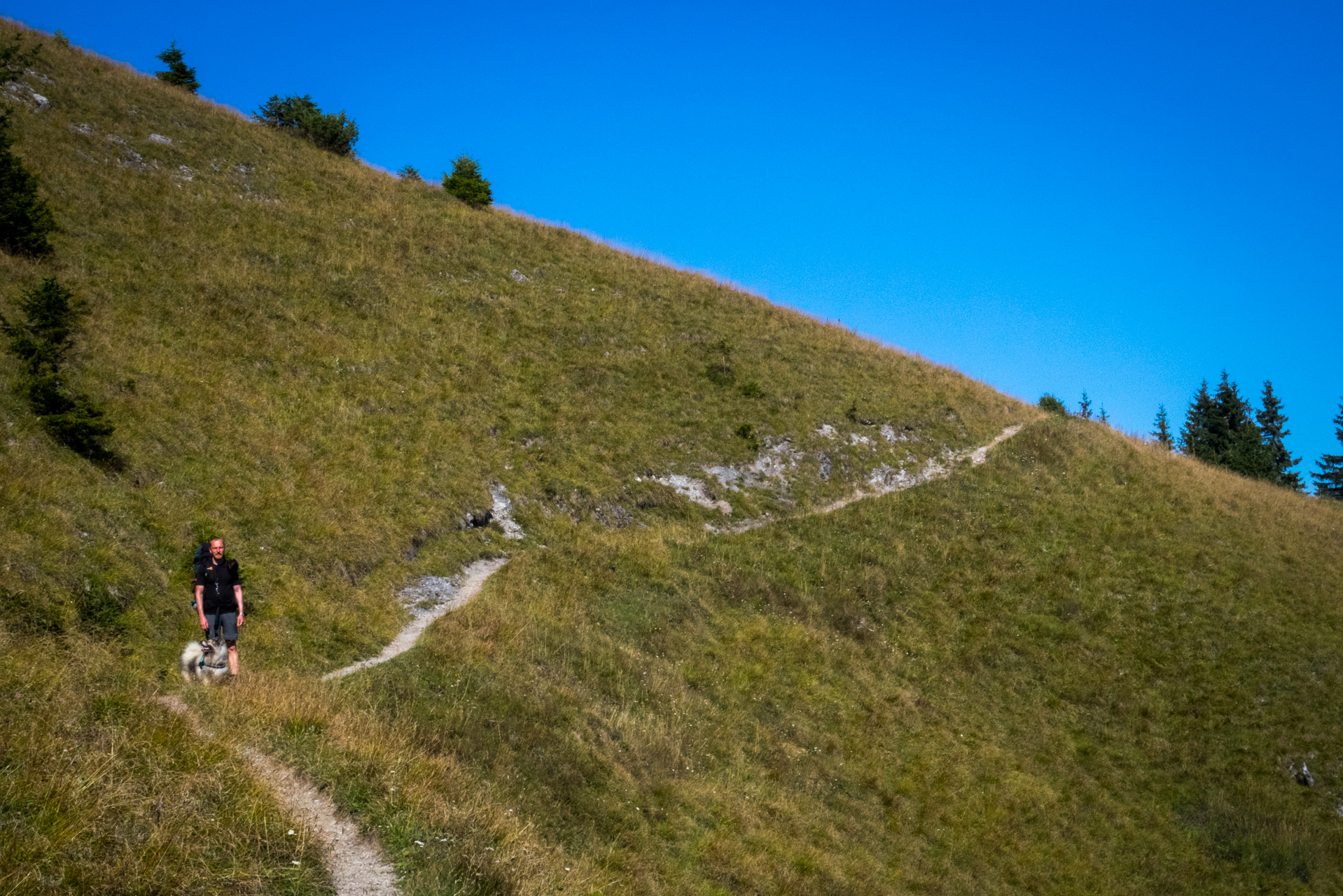 Zo Suchého vrchu cez Ploskú na voj. zotavovňu Smrekovica (Veľká Fatra)